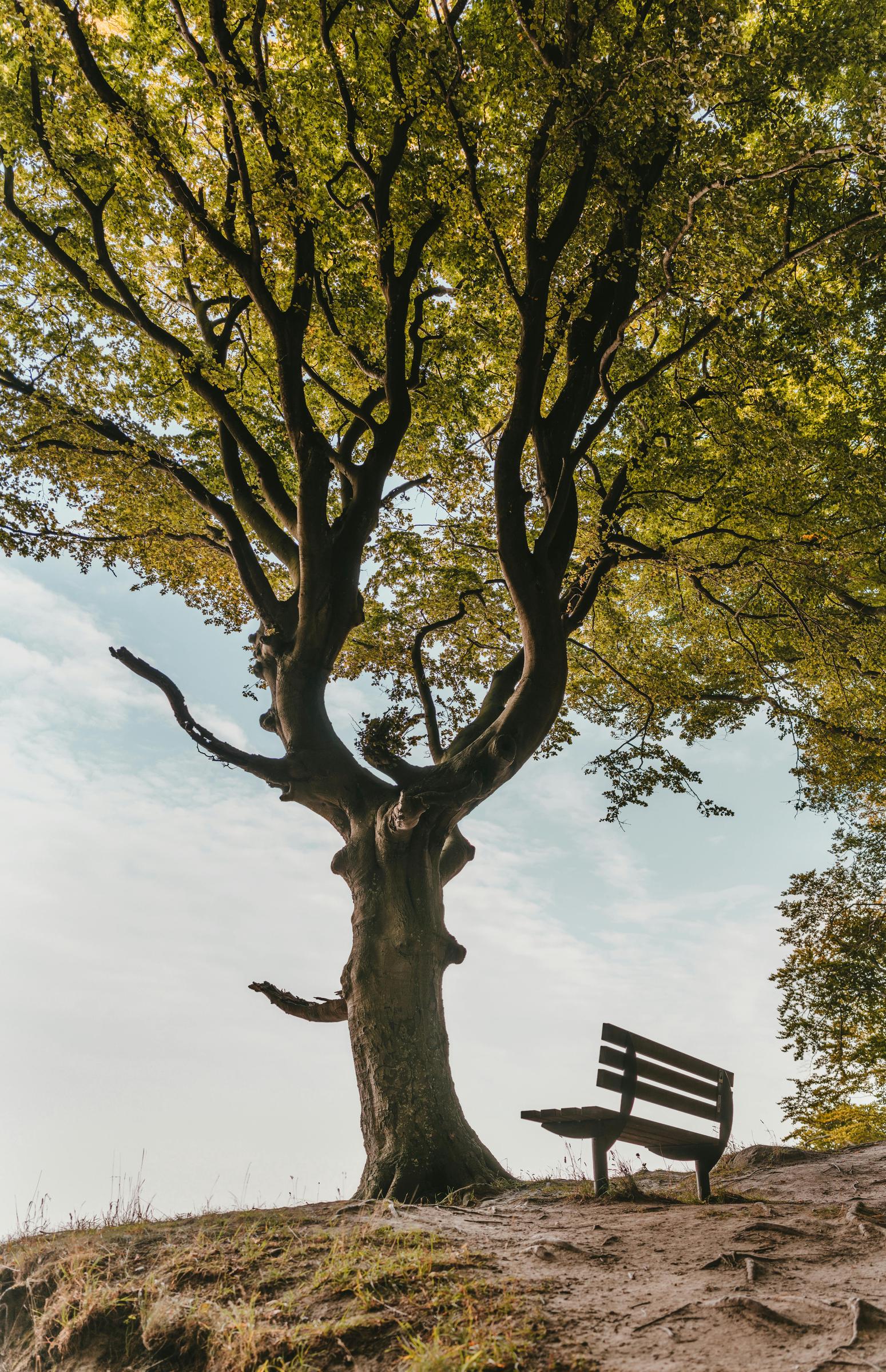 For illustration purposes only. | Source: Pexels