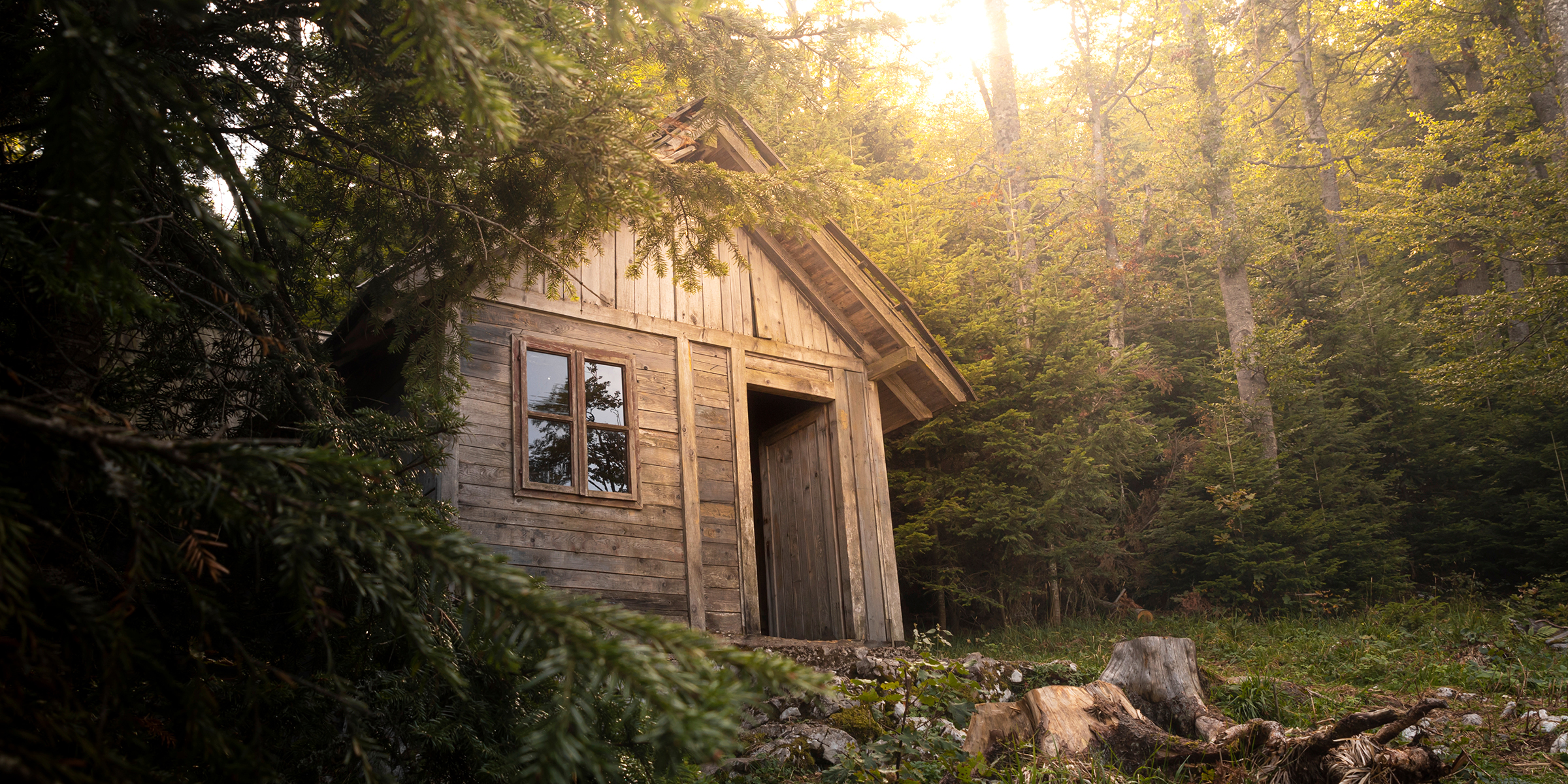 A small cabin in the woods | Source: Shutterstock