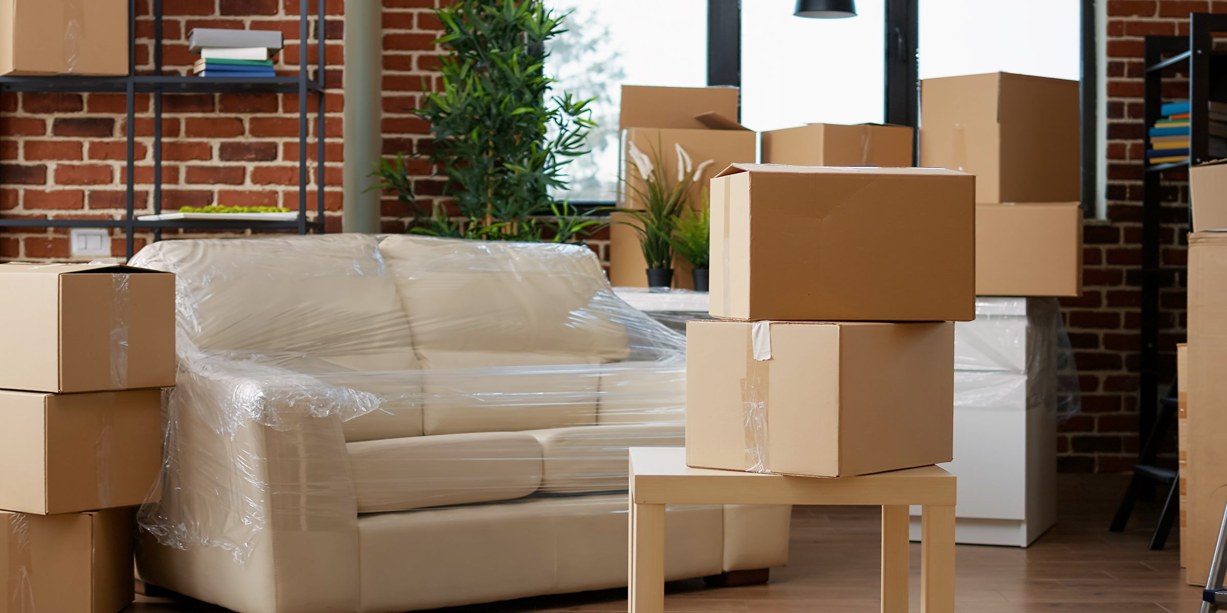 Packed boxes and a couch for moving | Source: Shutterstock