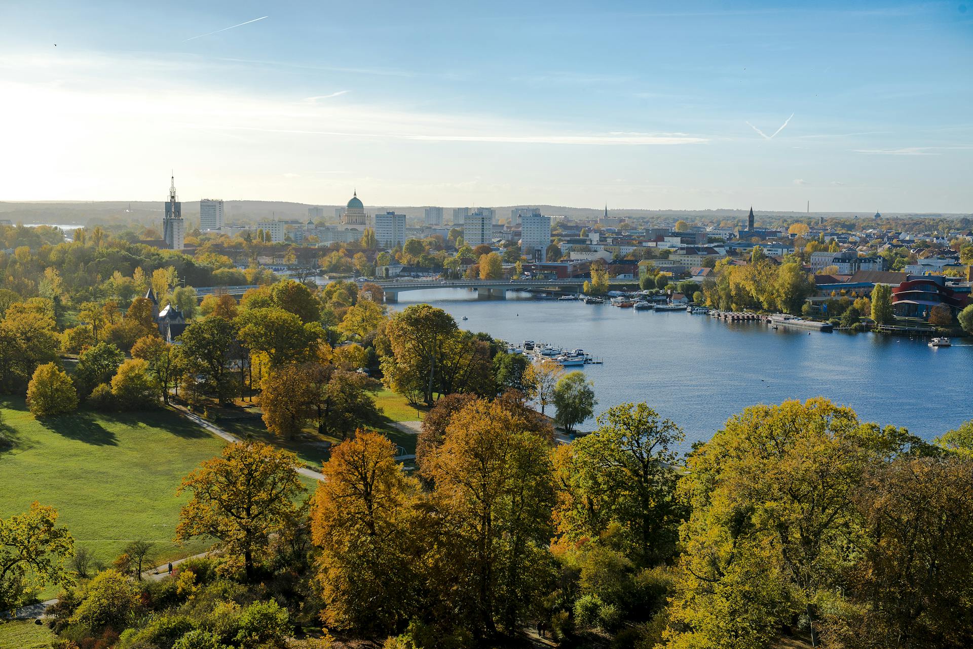 An aerial view of a city park | Source: Pexels