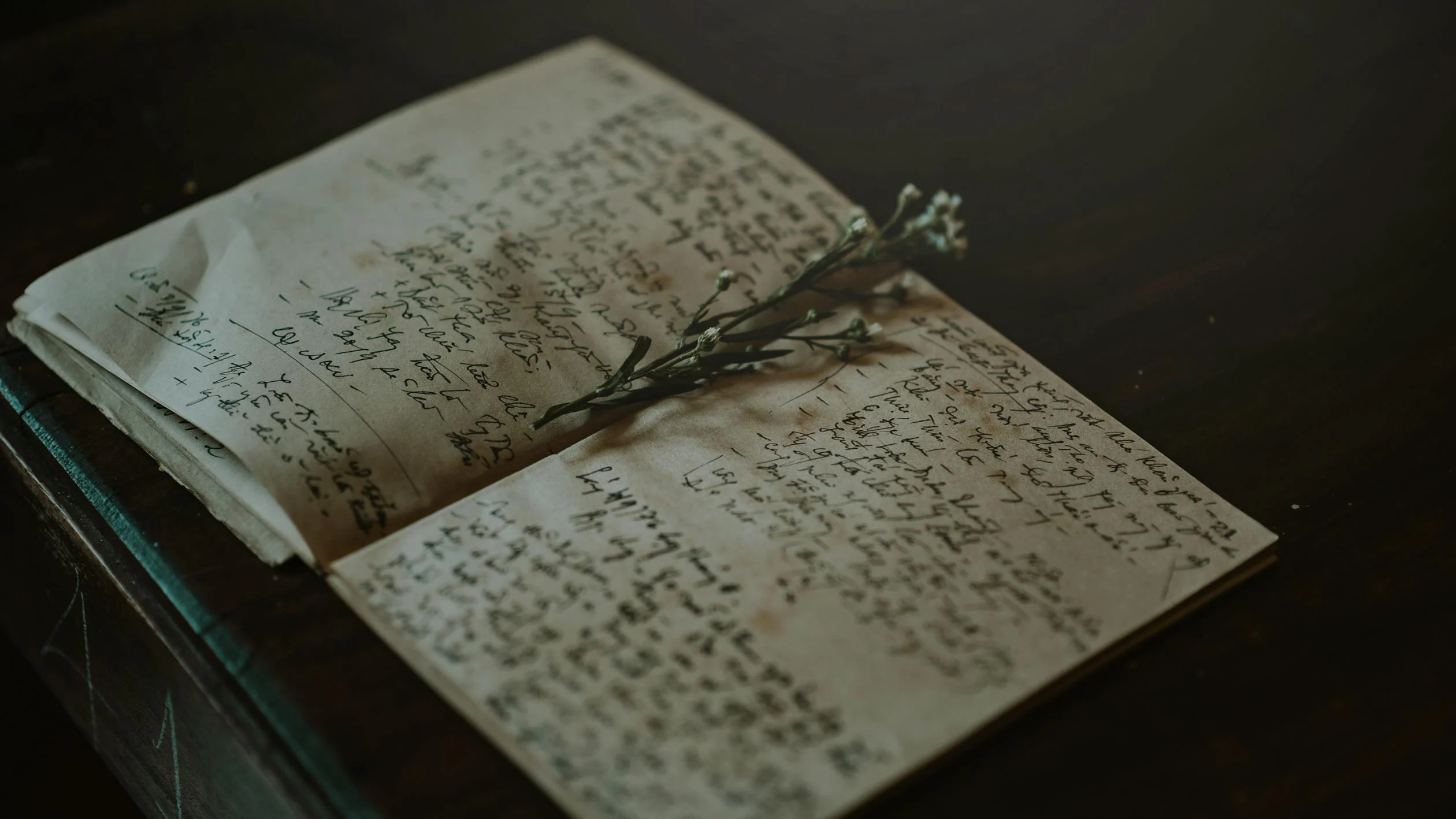 An old diary | Source: Pexels