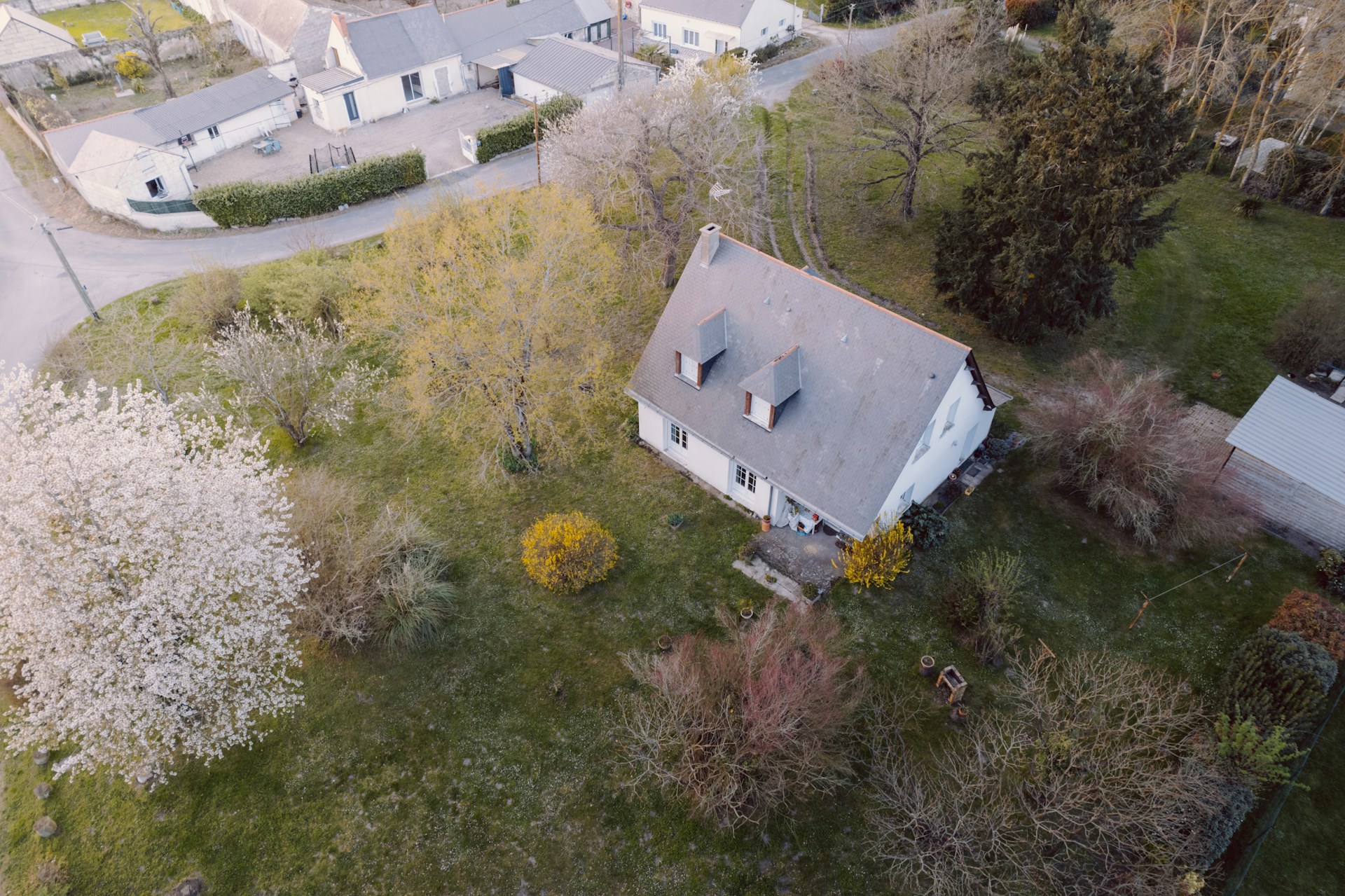 Aerial view of a house with a lawn adorned with trees | Source: Unsplash