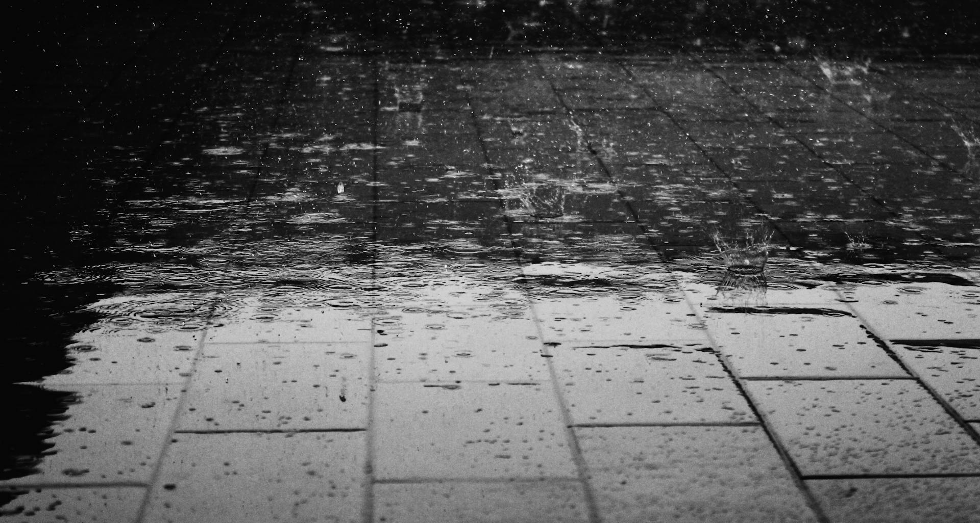 Rain drops falling on a wet pavement | Source: Pexels