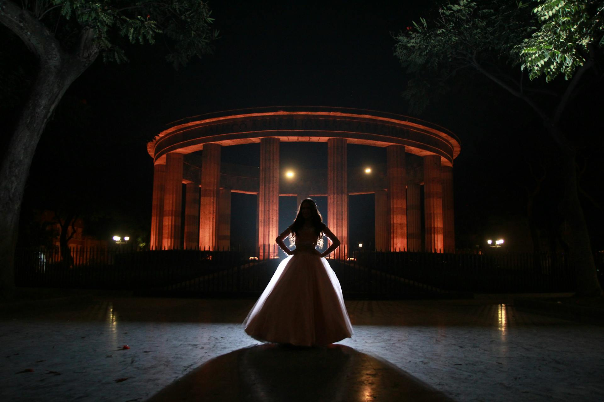 Silhouette of a young lady wearing a stunning gown | Source: Pexels