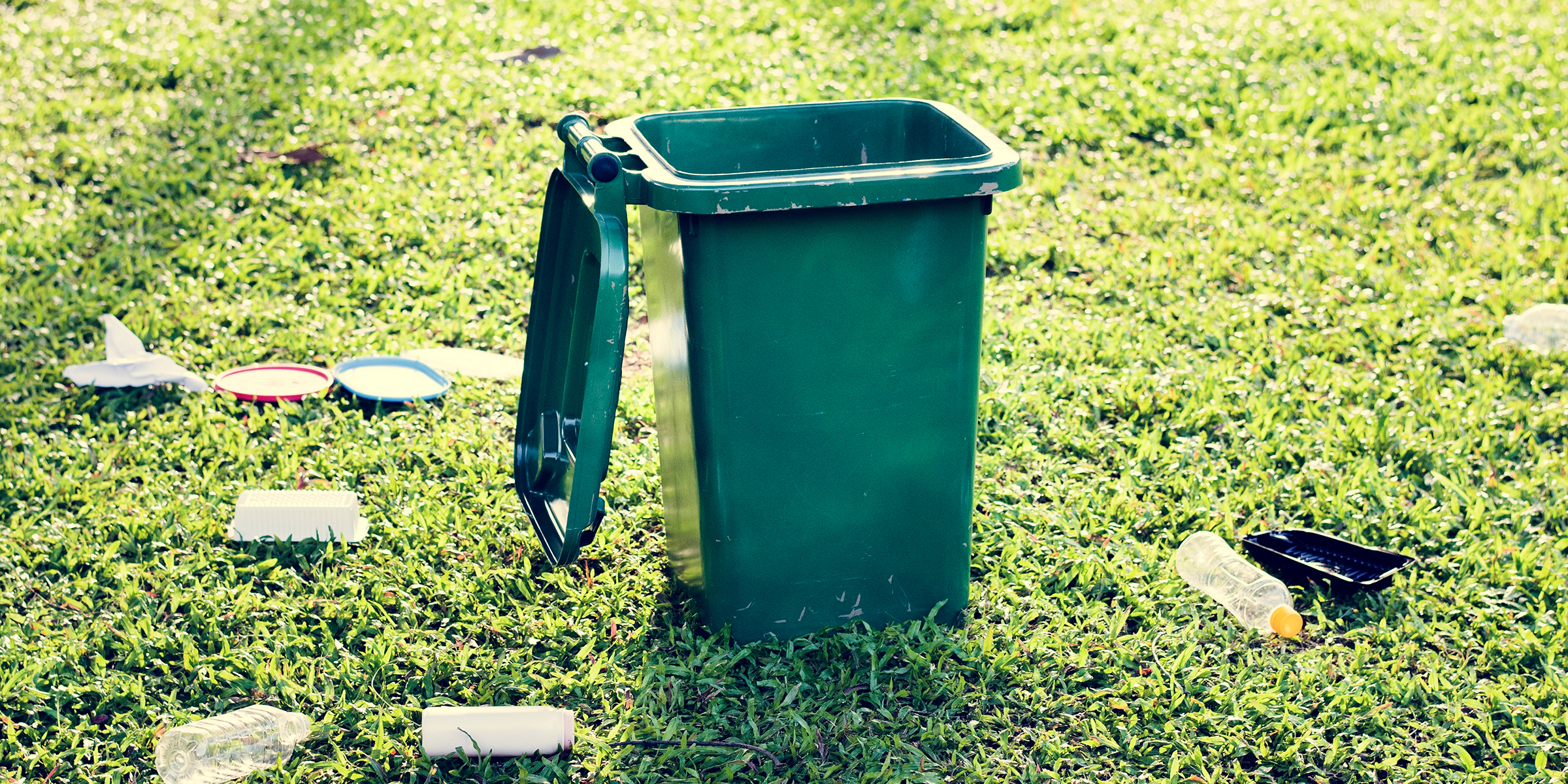 A bin and trash on a lawn | Source: Shutterstock