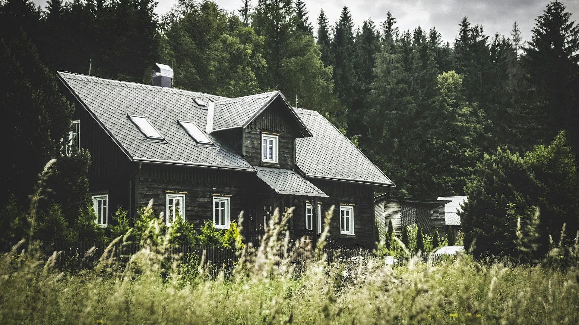 A house nestled among an overgrown garden and pine trees | Source: Unsplash