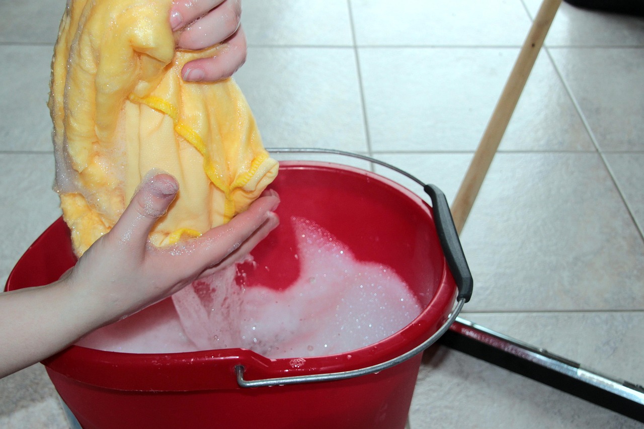 A person cleaning with a bucket and rag | Source: Pixabay