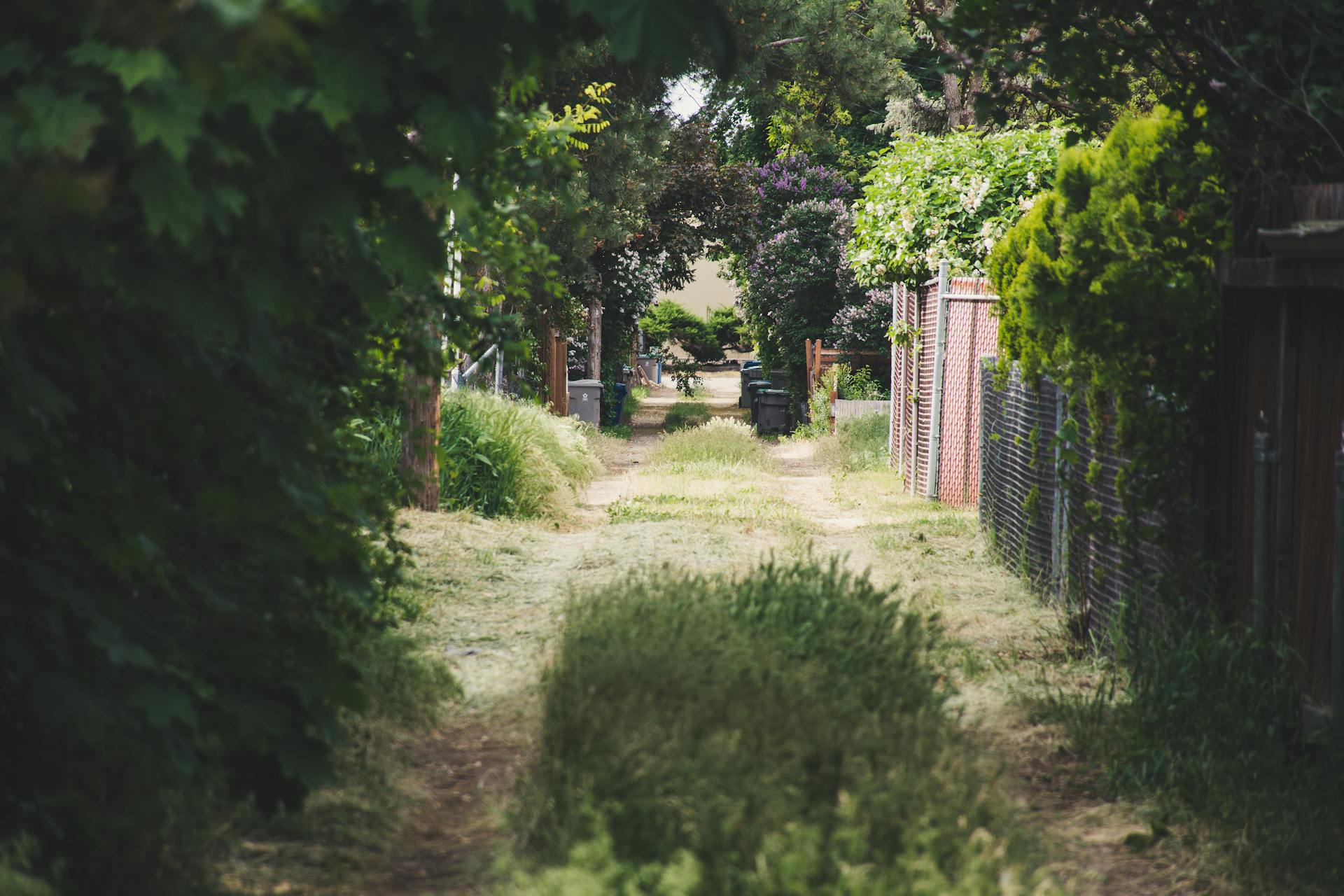 An unkempt pathway bordered by a chain link fence | Source: Pexels