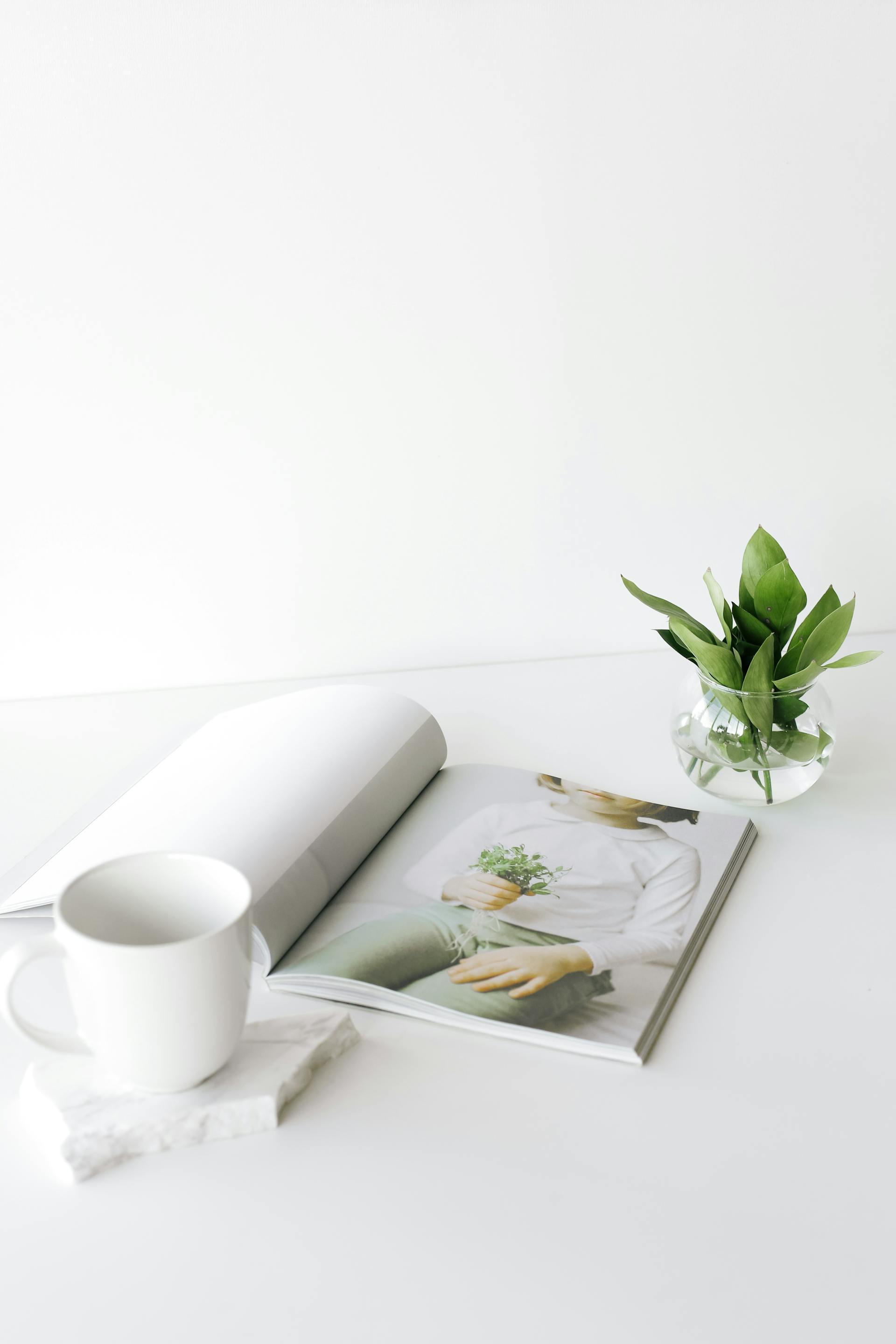 Un magazine sur une table basse | Source : Pexels