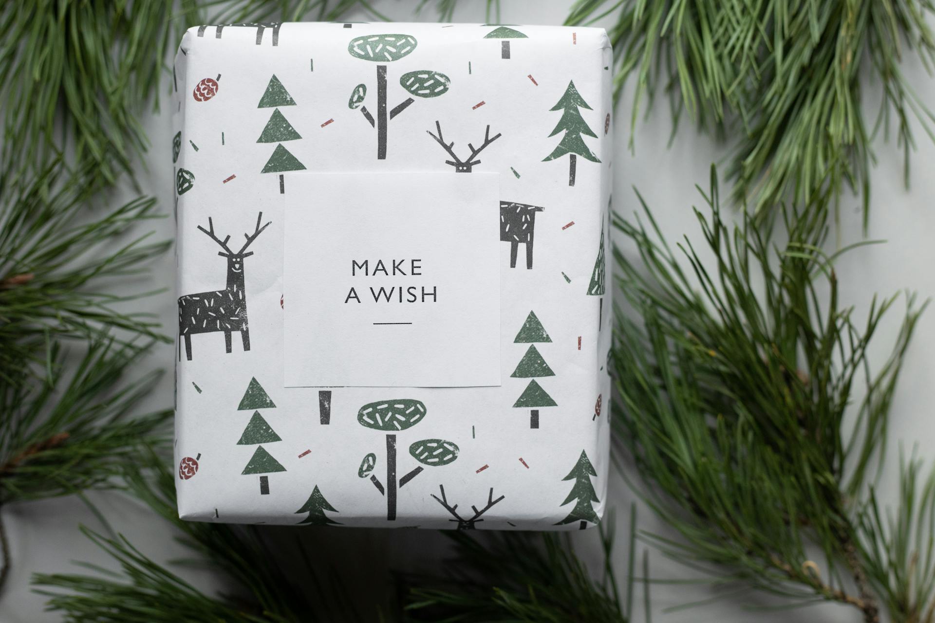 A gift | Source: Pexels
