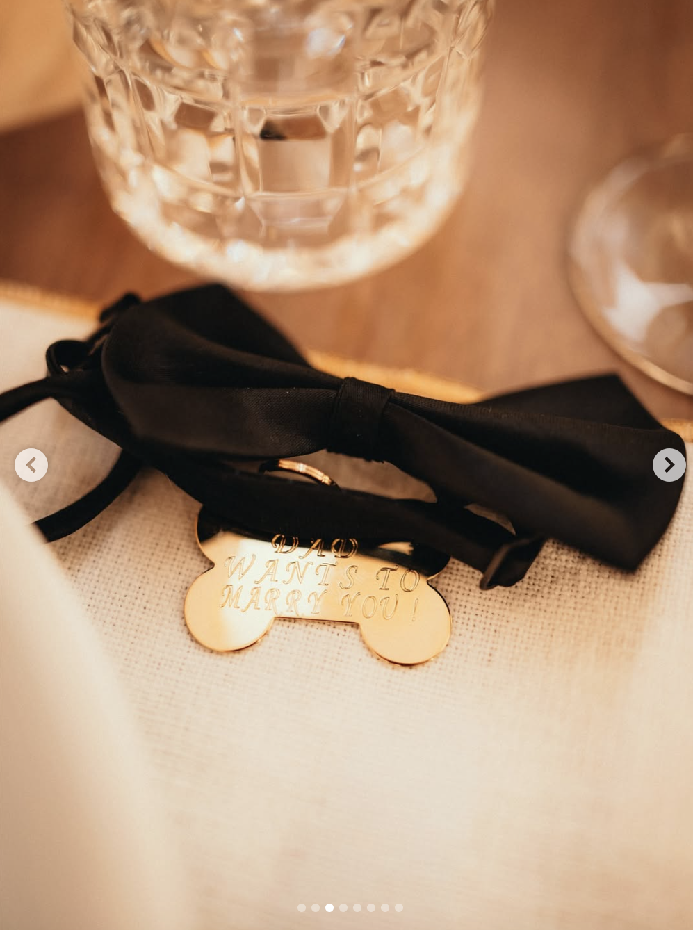 Leo's dog tag on the day of Charles Leclerc's proposal to Alexandra Saint Mleux, posted on Instagram on November 3, 2025. | Source: Instagram/charles_leclerc