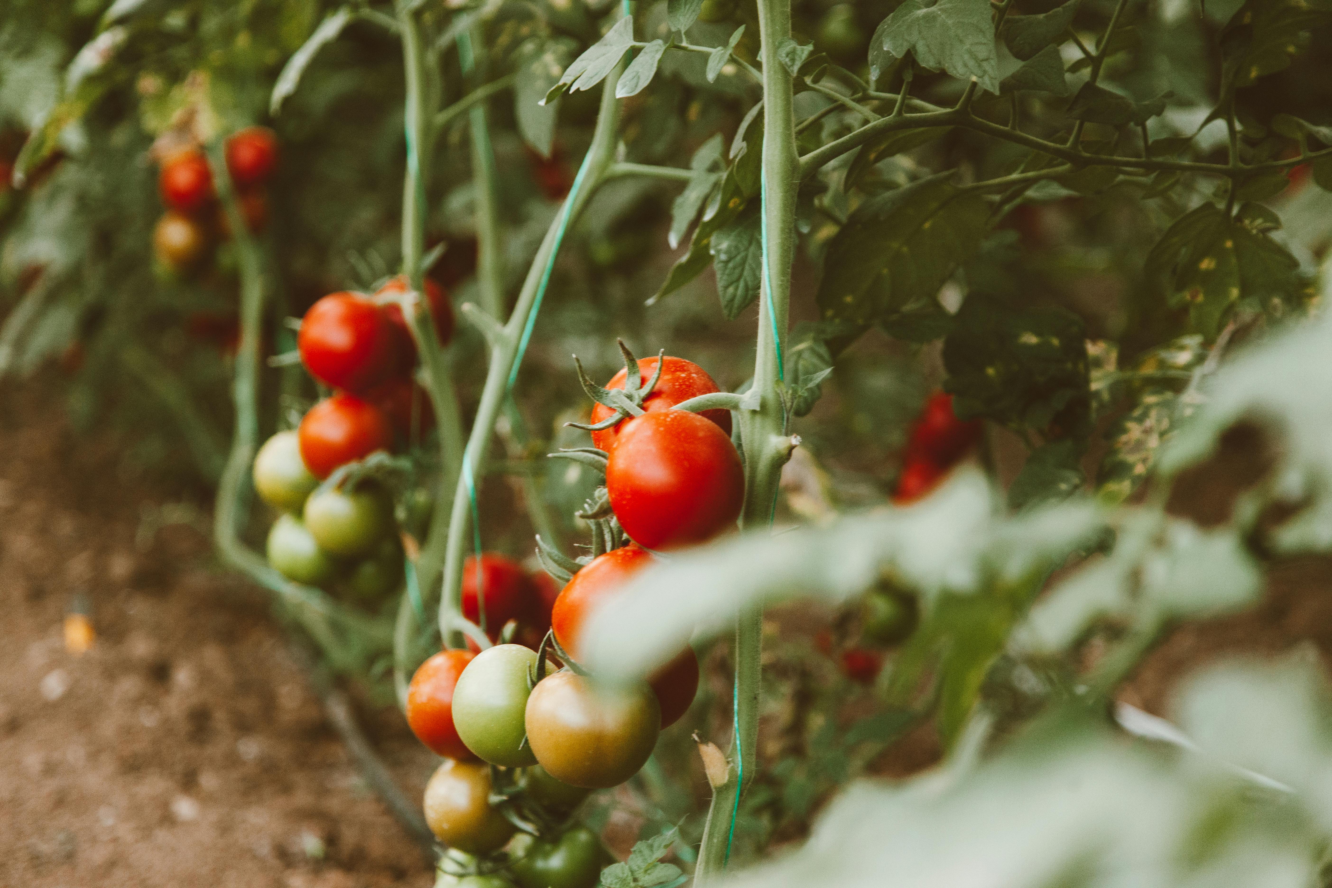 For illustration purposes only. | Source: Pexels