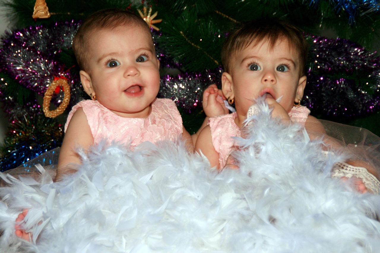 Twin baby girls | Source: Pixabay