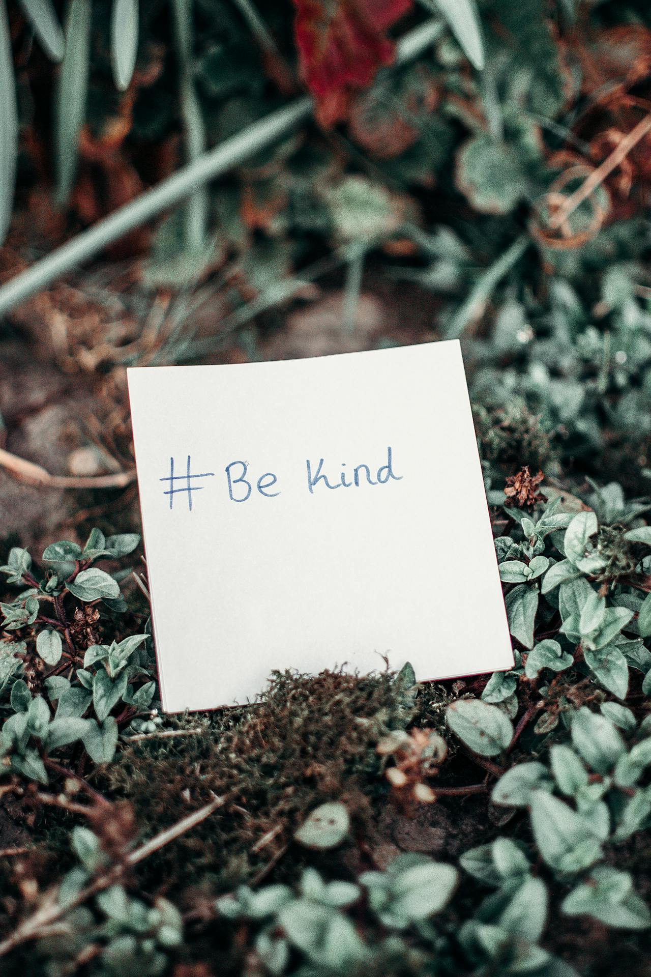 A note nestled among plants | Source: Pexels