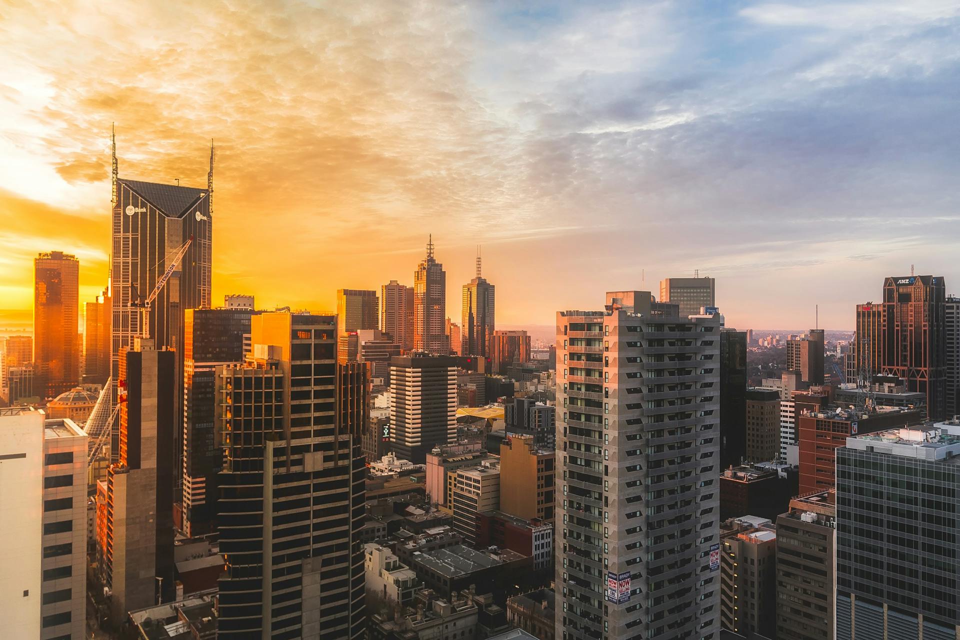 View of a city skyline | Source: Pexels