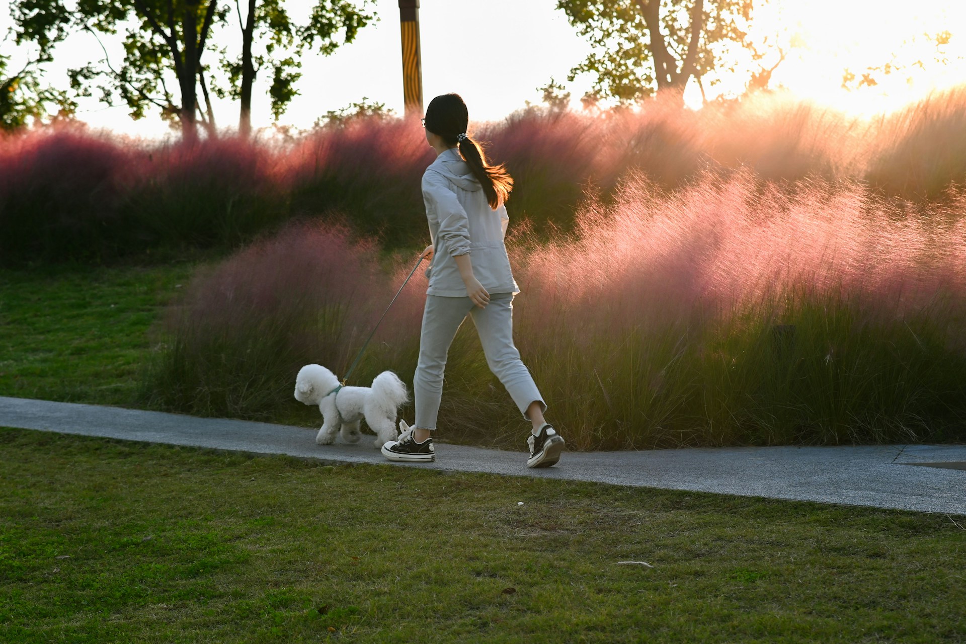 A woman walking her pet dog | Source: Unsplash