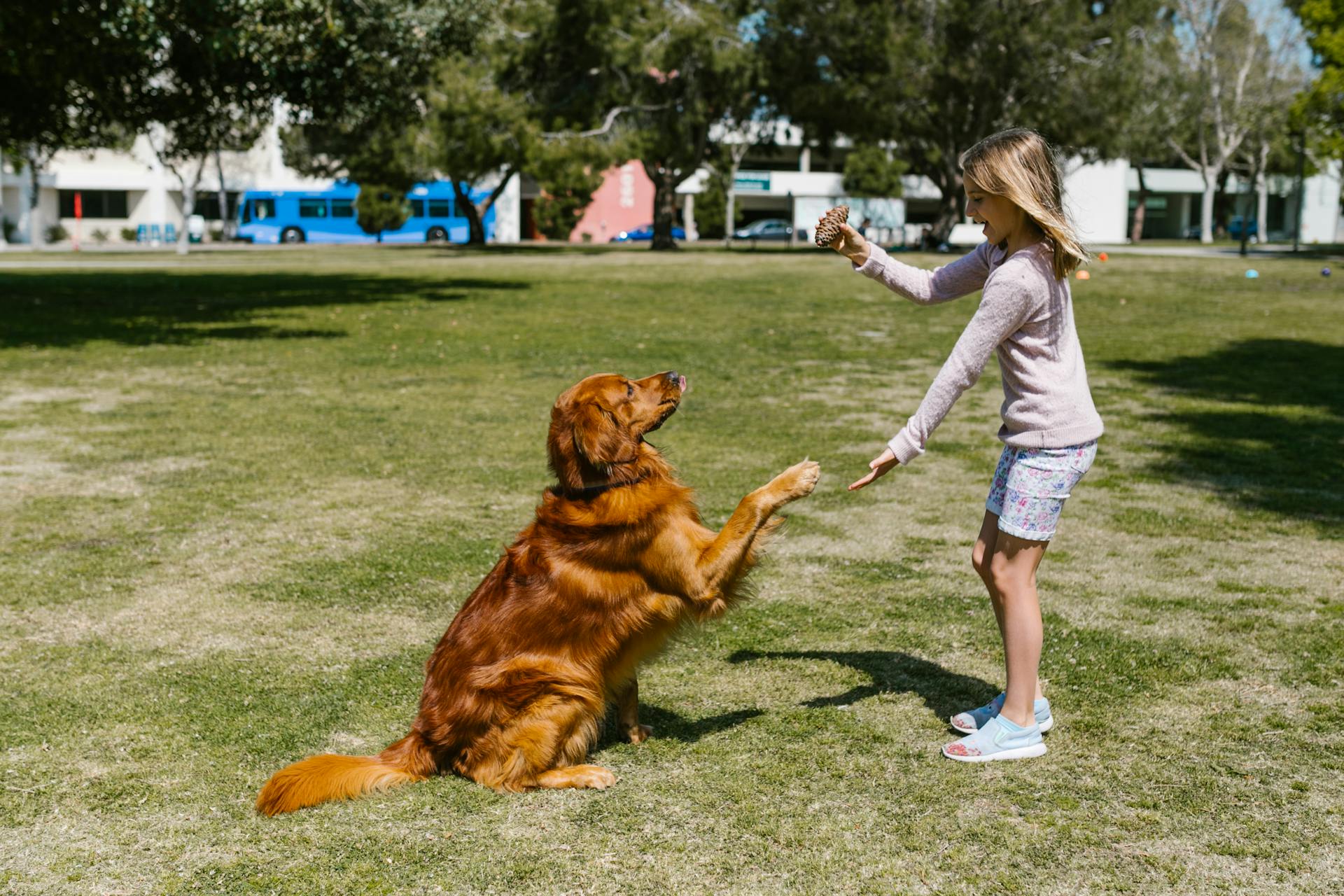 Little girl with a dog | Source: Pexels