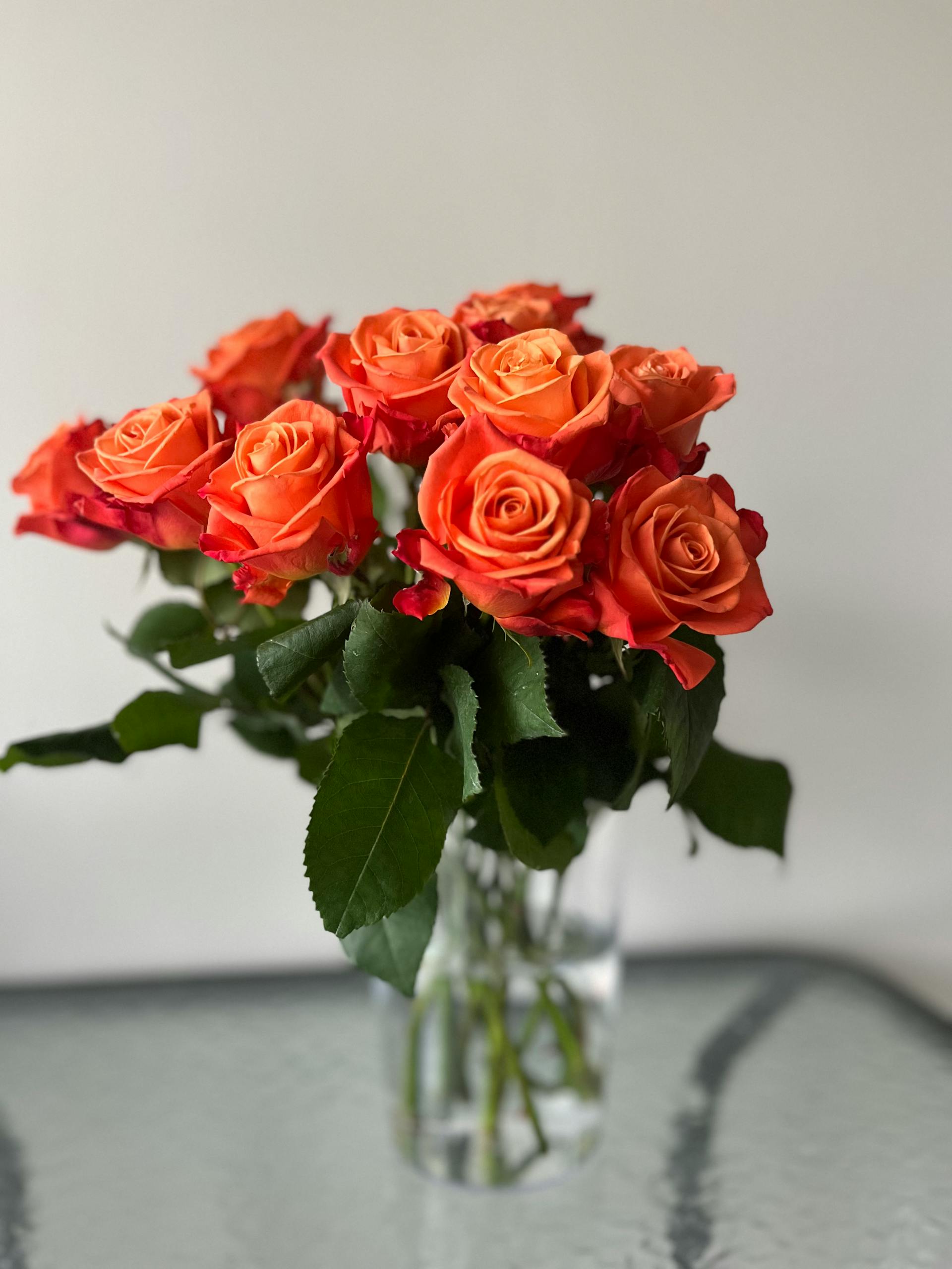 Roses in a vase | Source: Pexels