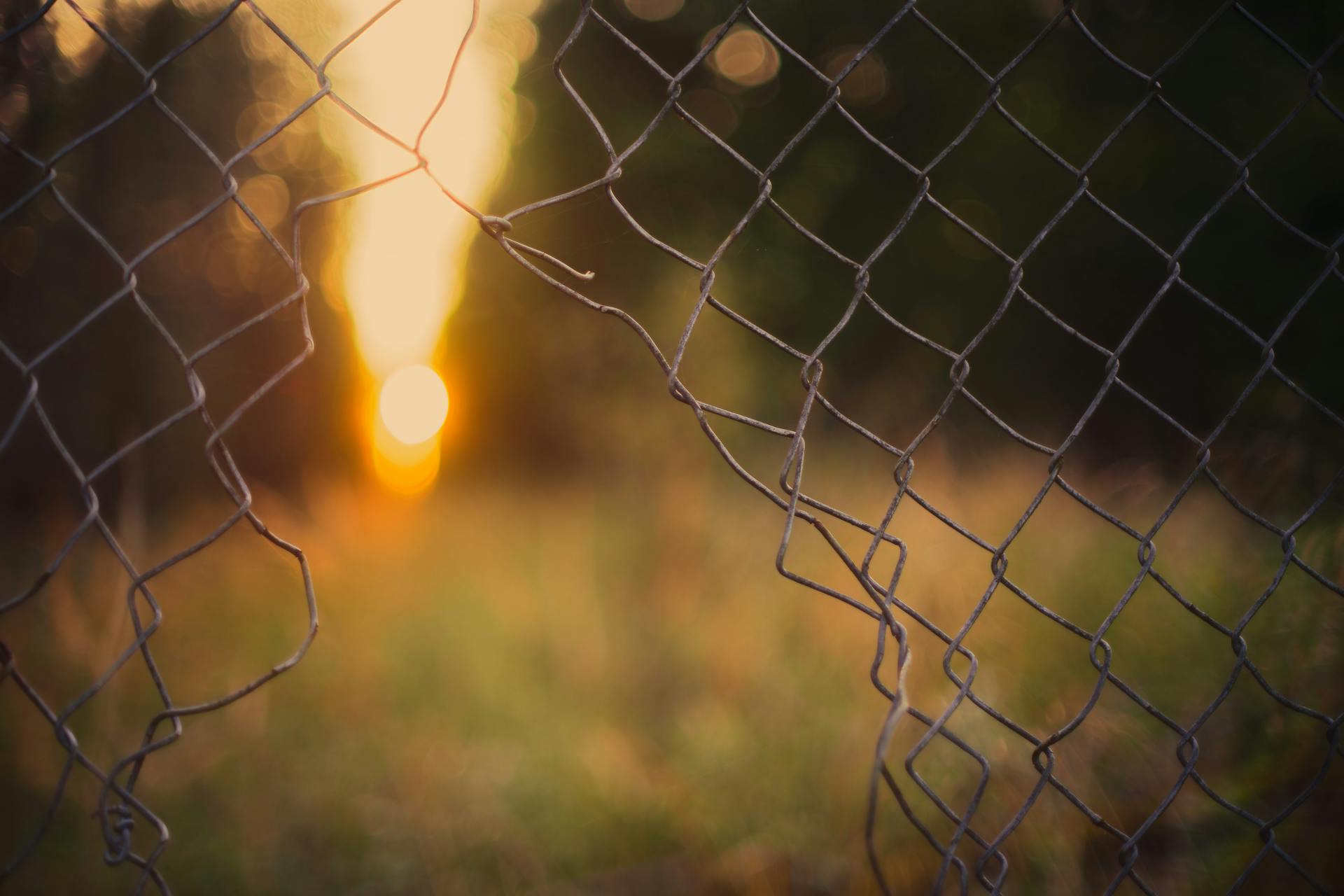 A broken fence | Source: Pexels
