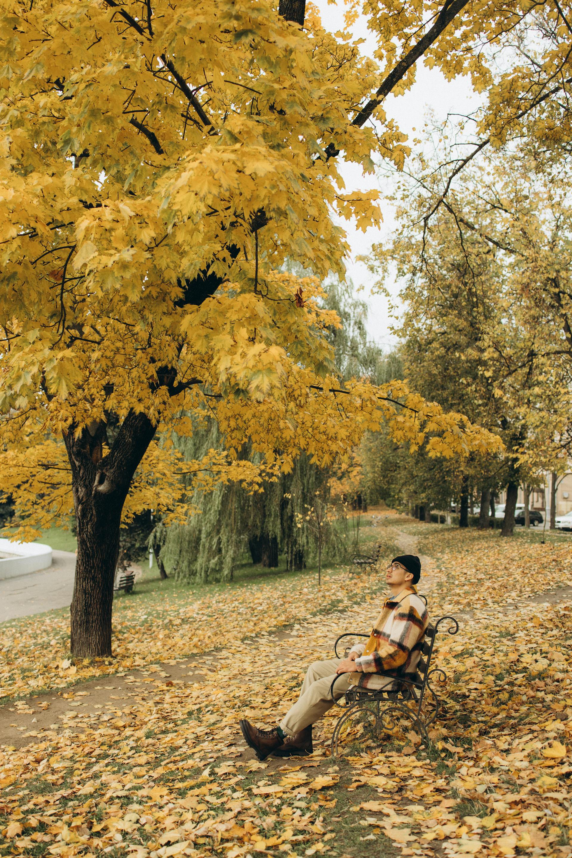 Young man sitting on a bench in a park | Source: Pexels