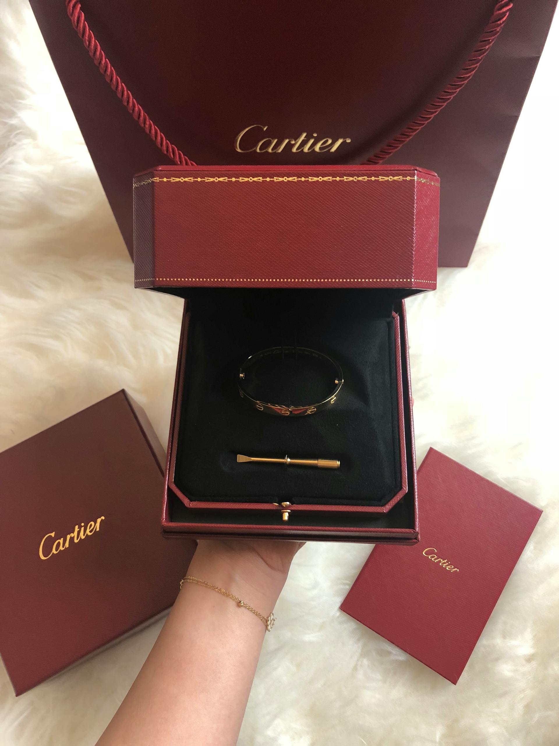 A person holding a Cartier-branded jewelry box | Source: Pexels