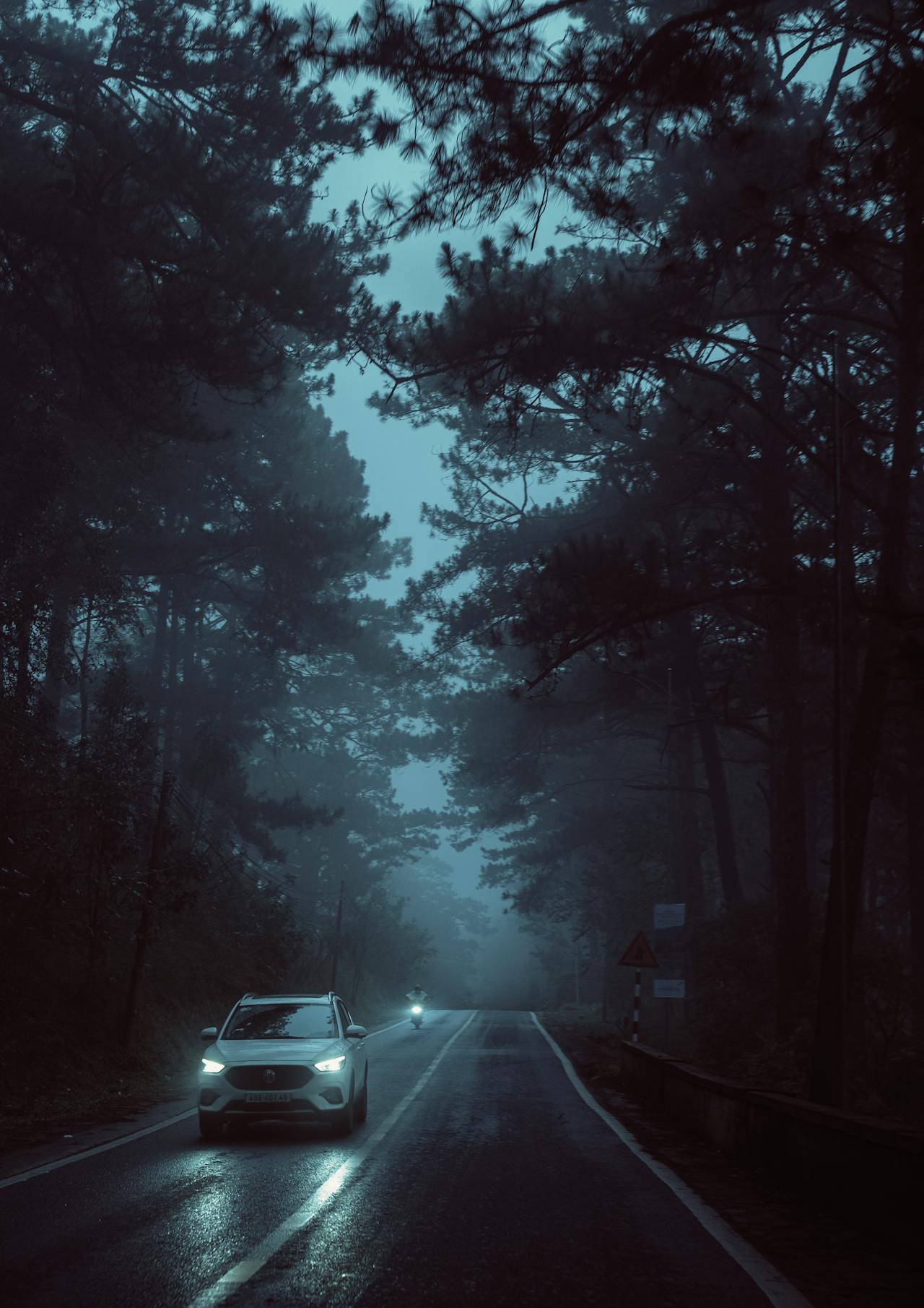 A car passing on a tree-lined road on a rainy day | Source: Pexels