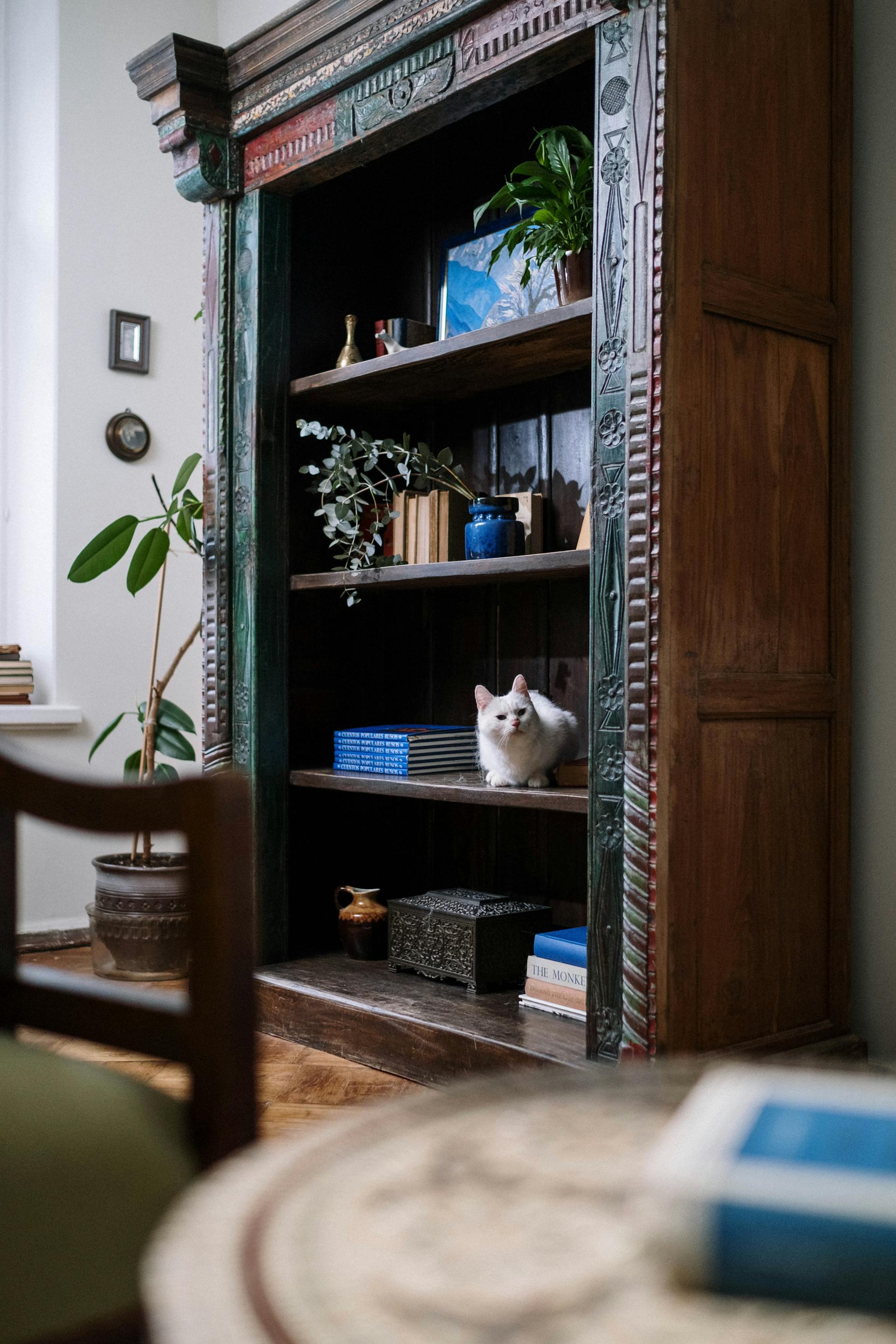 A bookshelf in a living room | Source: Pexels