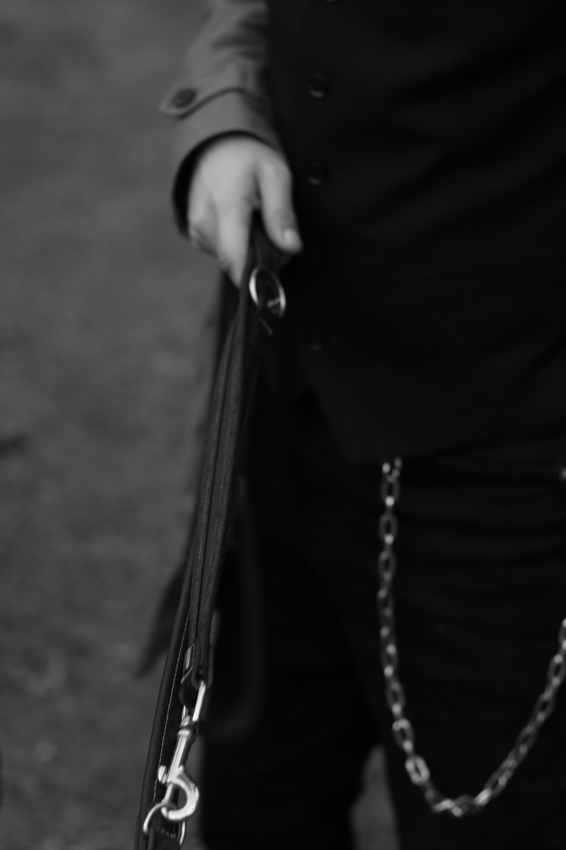 A person holding a leash | Source: Unsplash