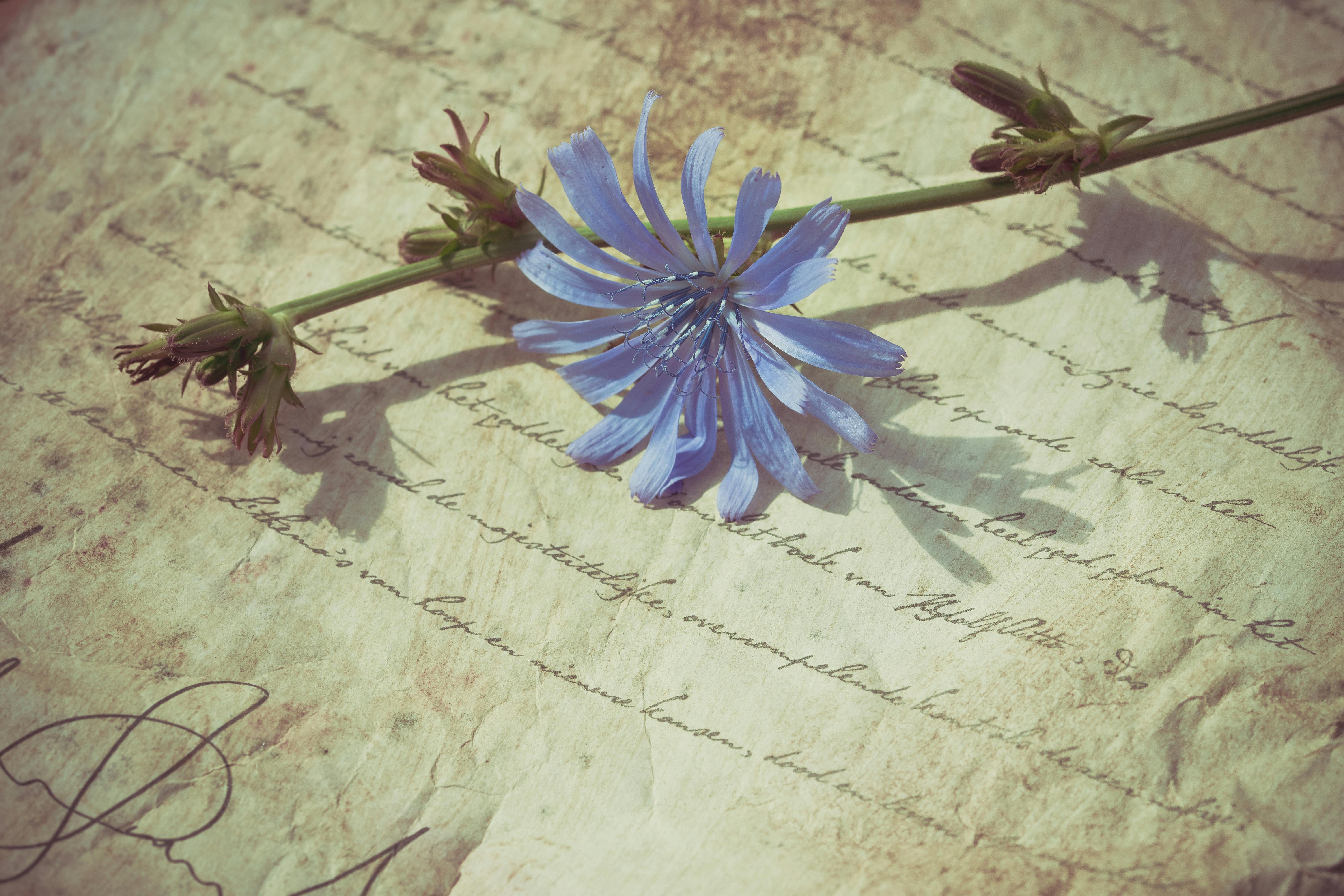 For illustration purposes only | Source: Pexels