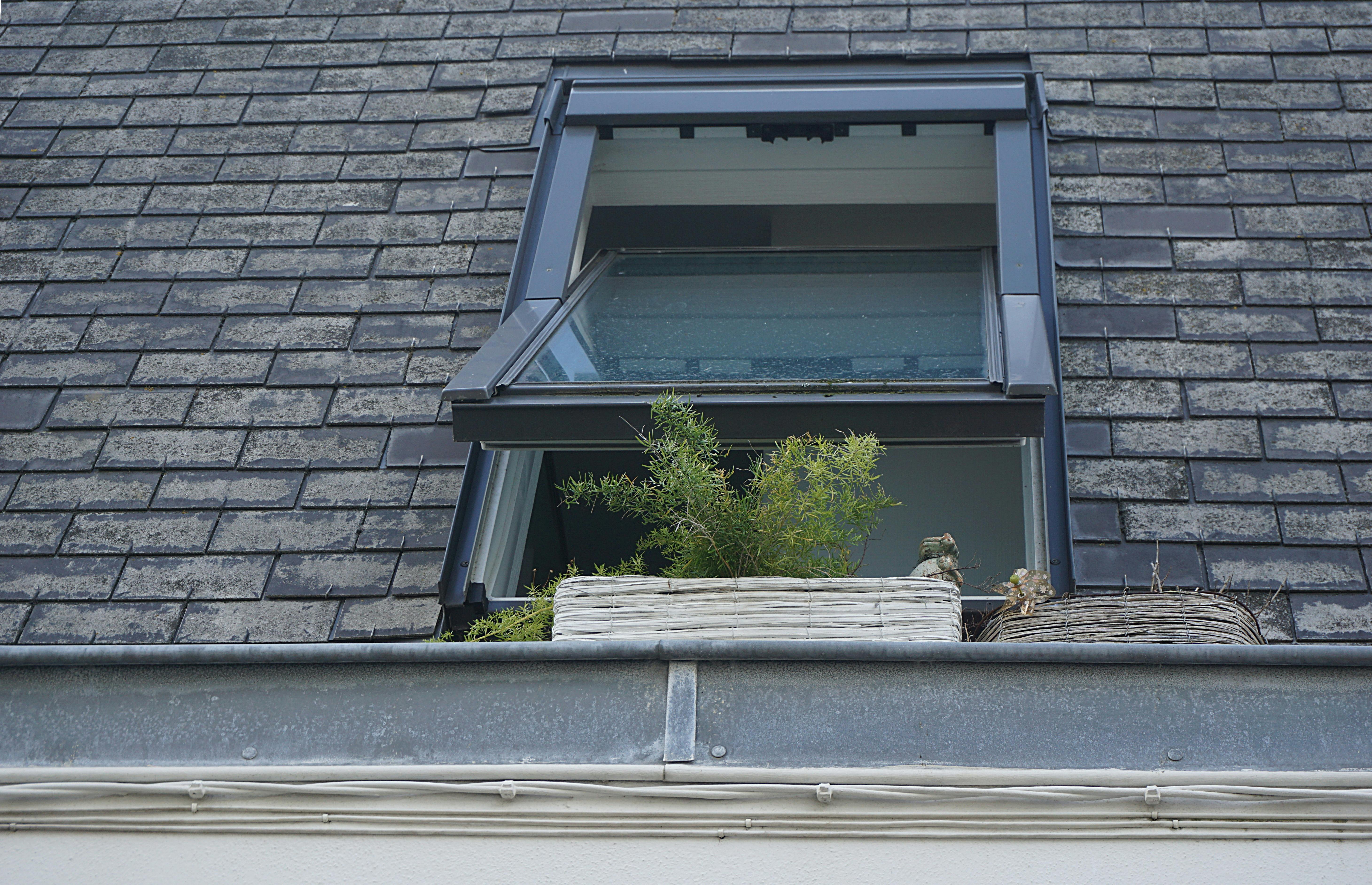 A house's open window | Source: Pexels