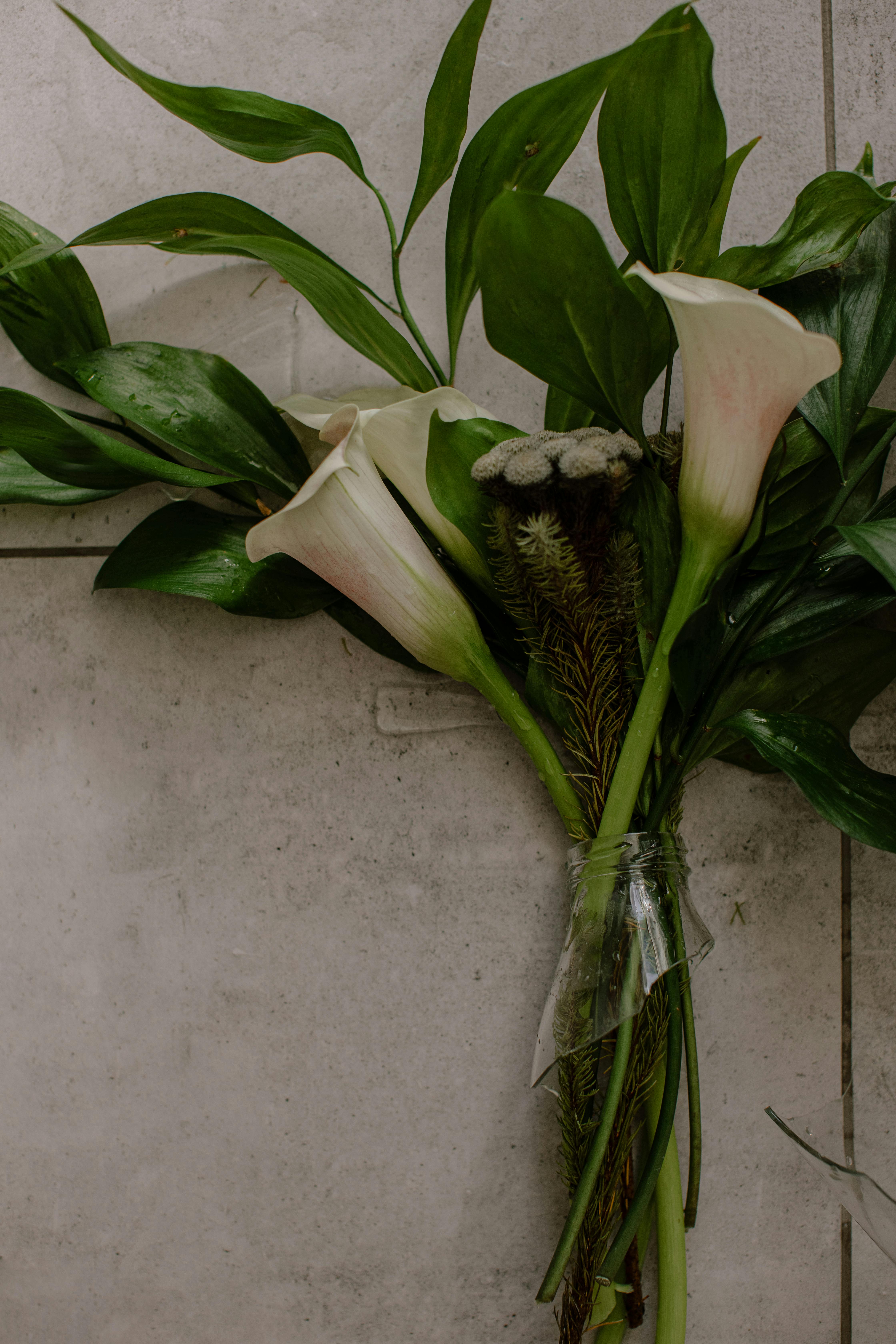 Flowers lying on the floor with shattered glass | Source: Pexels