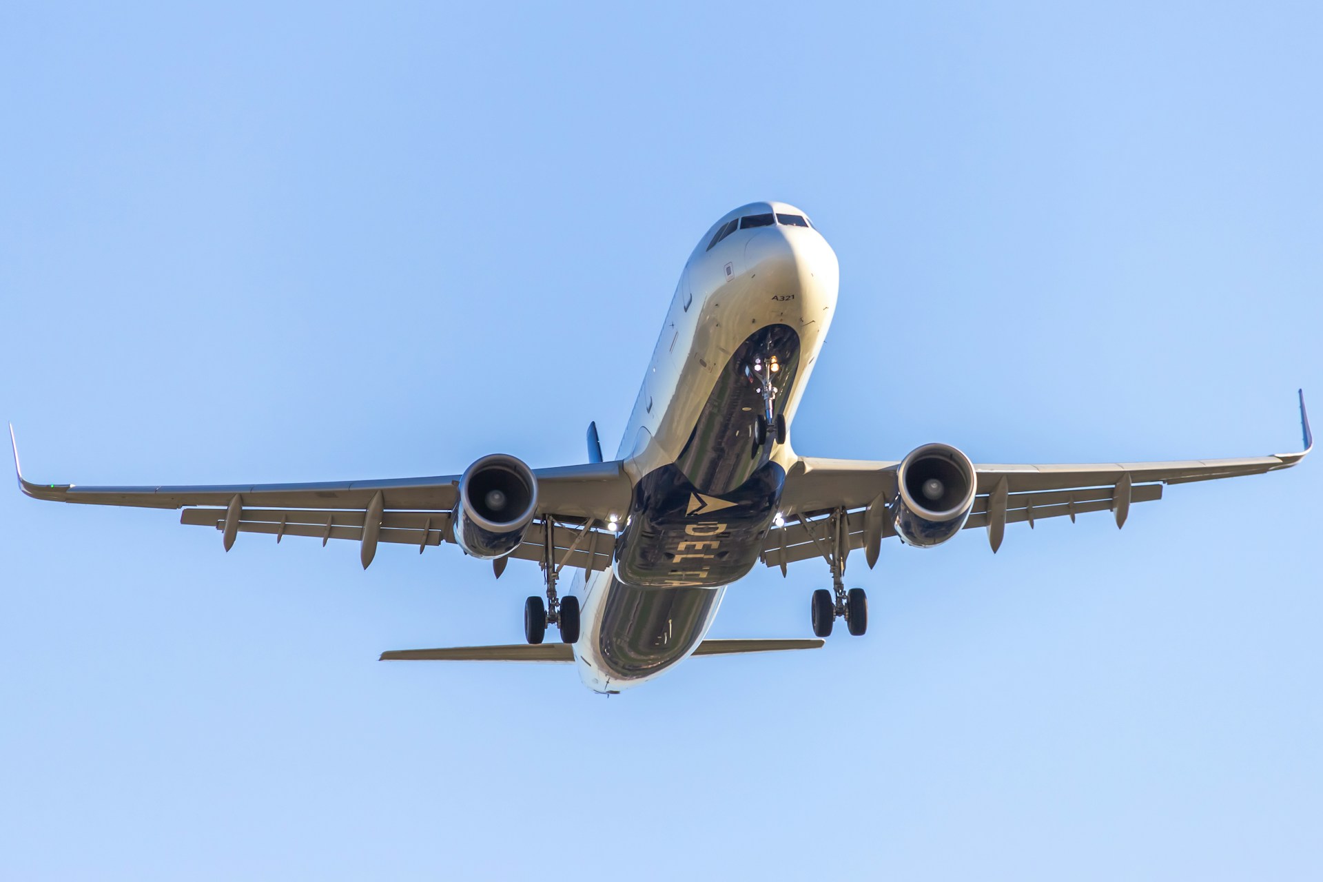 A flight taking off | Source: Unsplash