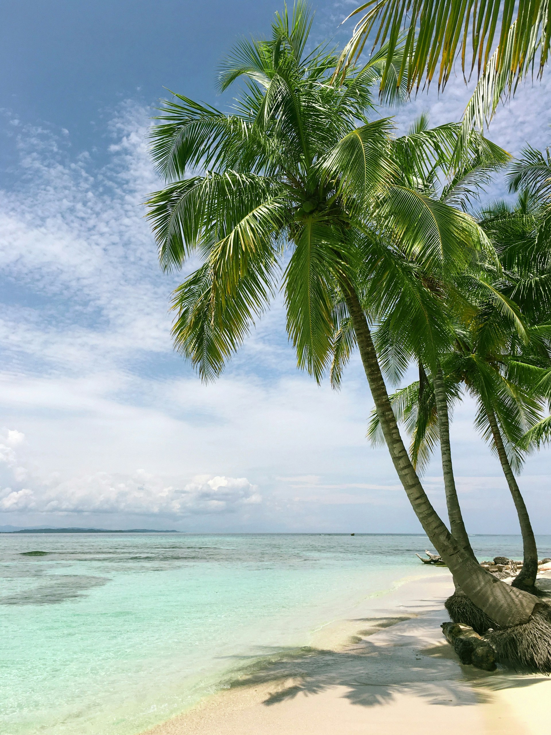 A beach | Source: Unsplash