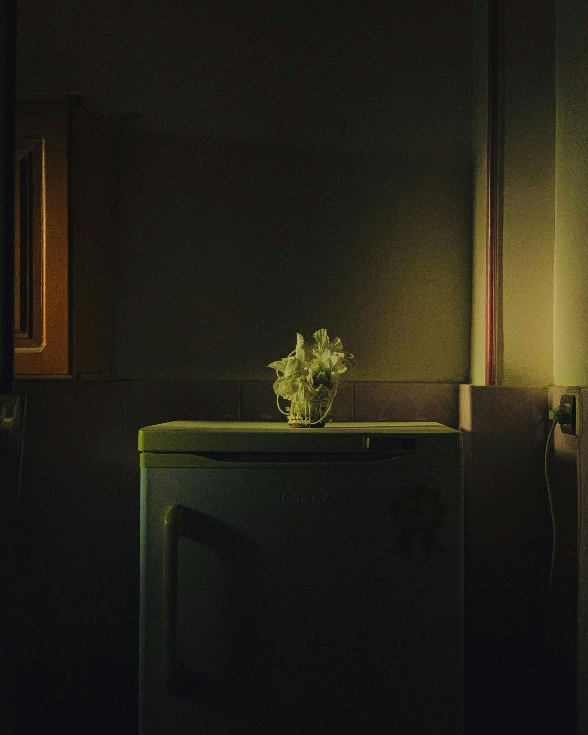 A fridge | Source: Pexels