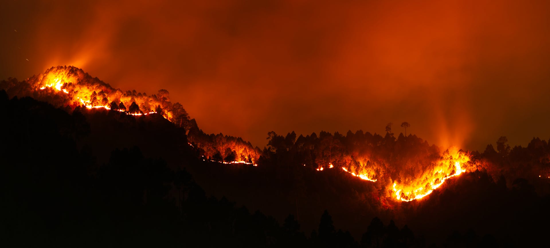 Fire spreading through a forest | Source: Pexels