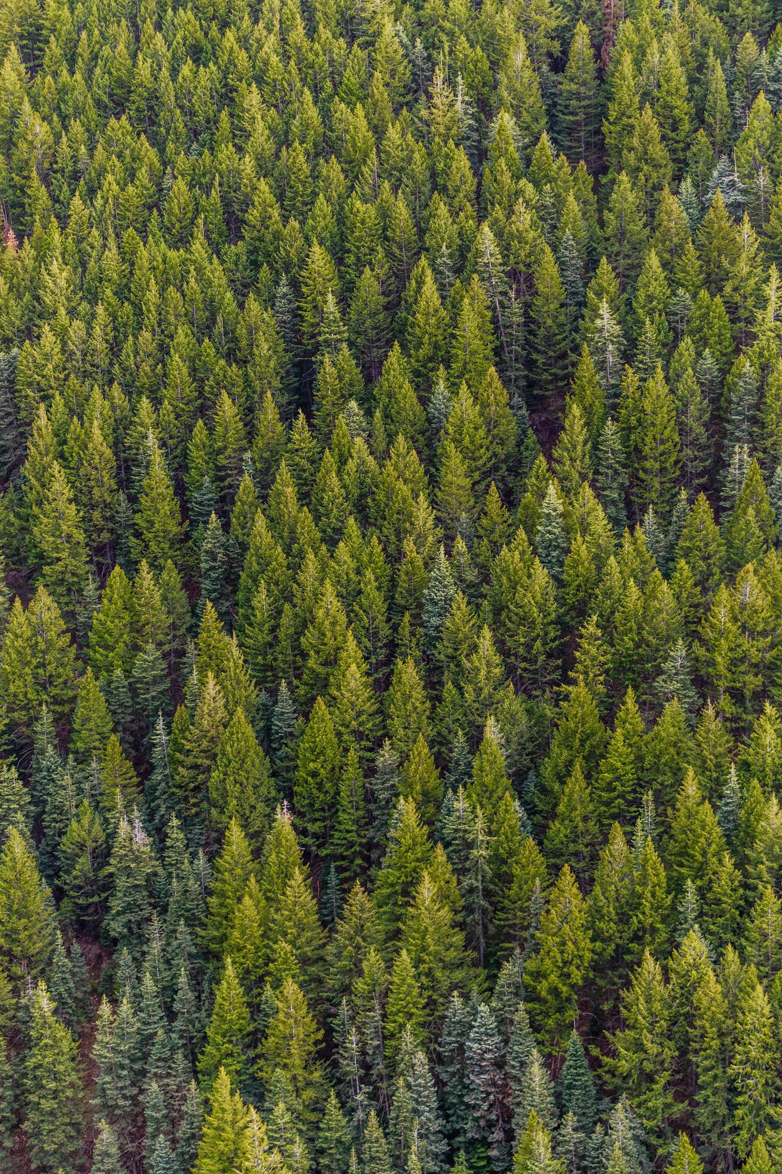 For illustration purposes only. | Source: Pexels