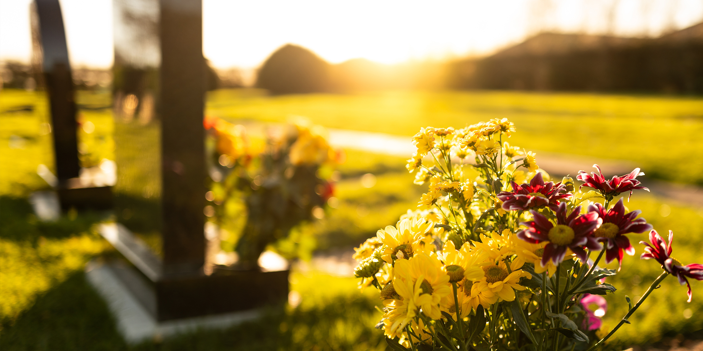 A cemetery | Source: Shutterstock