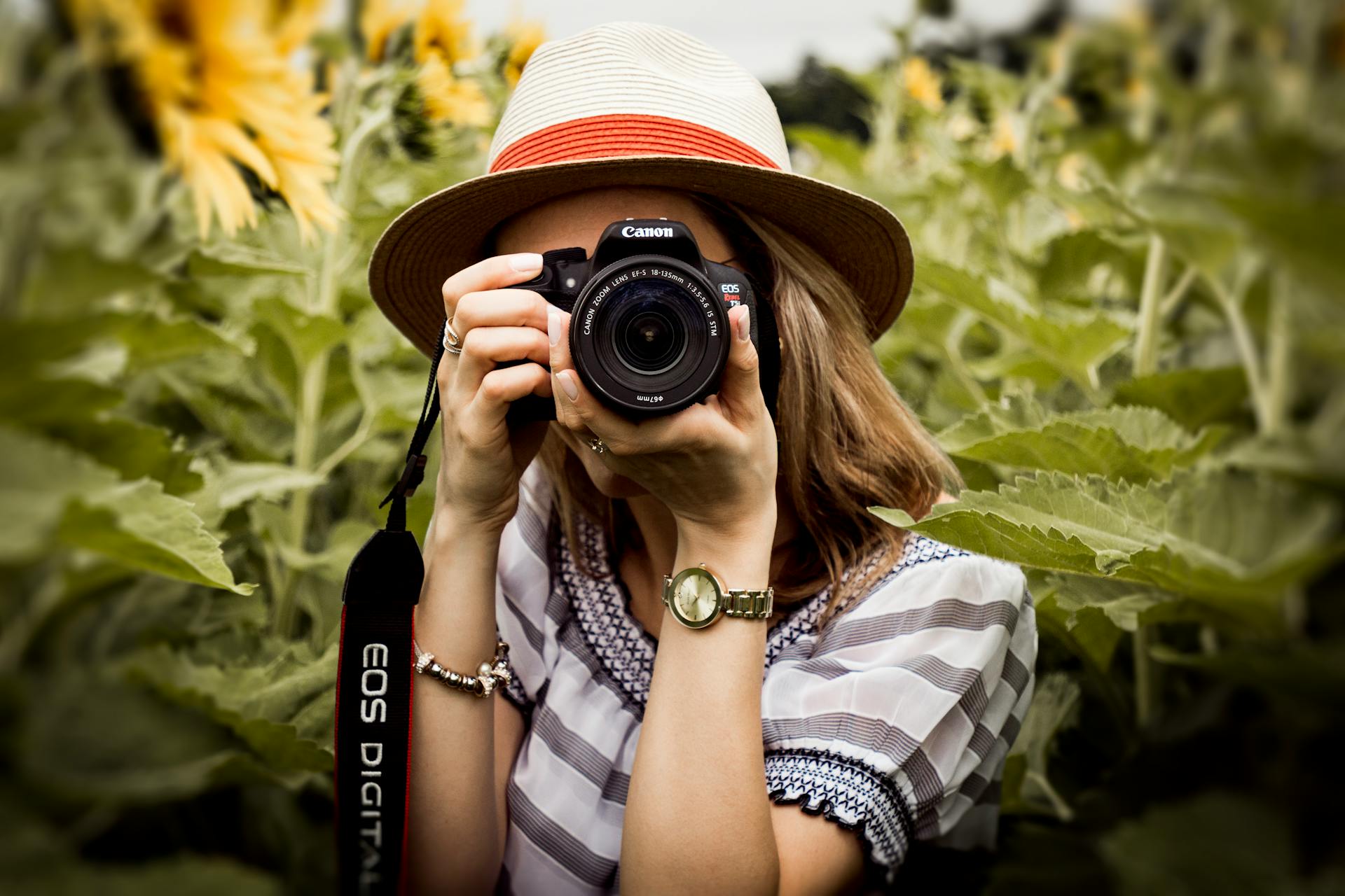 A photographer in a field | Source: Pexels