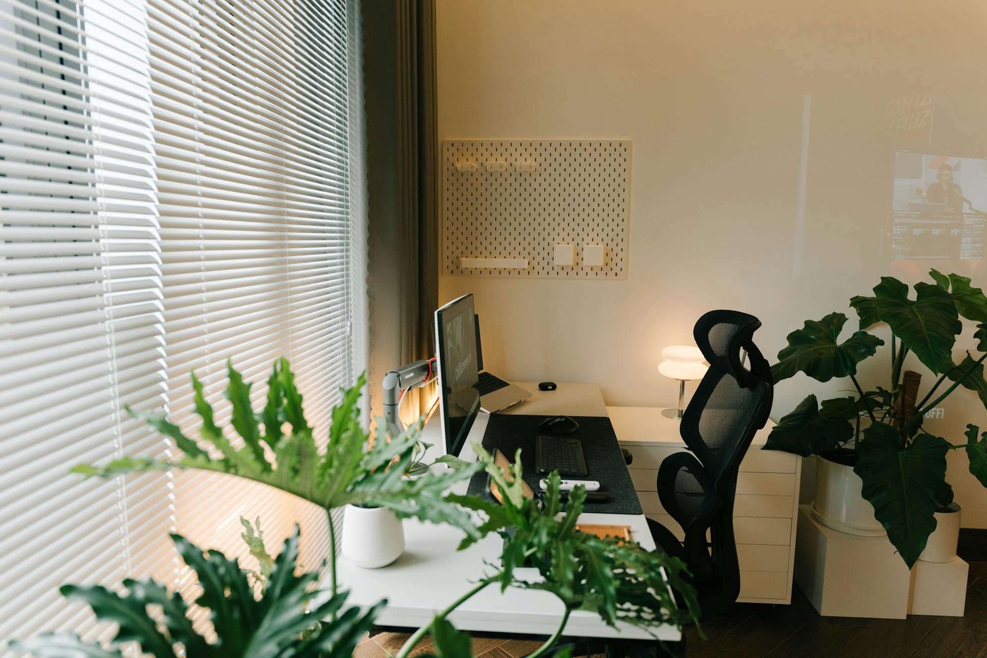 Plants in an office | Source: Pexels