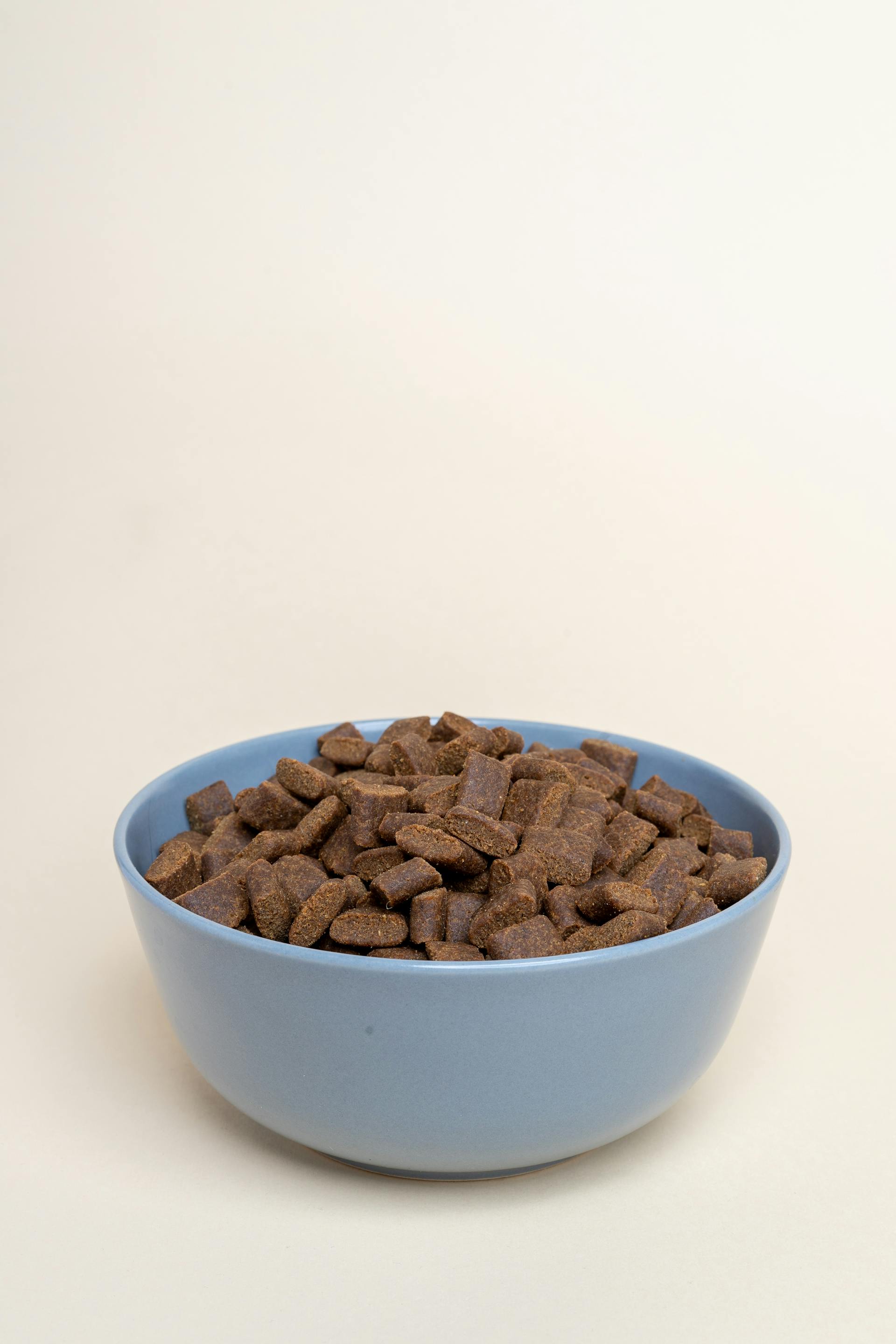 Cat food in a bowl | Source: Pexels