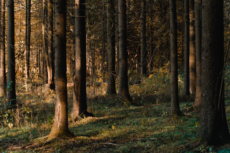 For illustration purposes only. | Source: Pexels