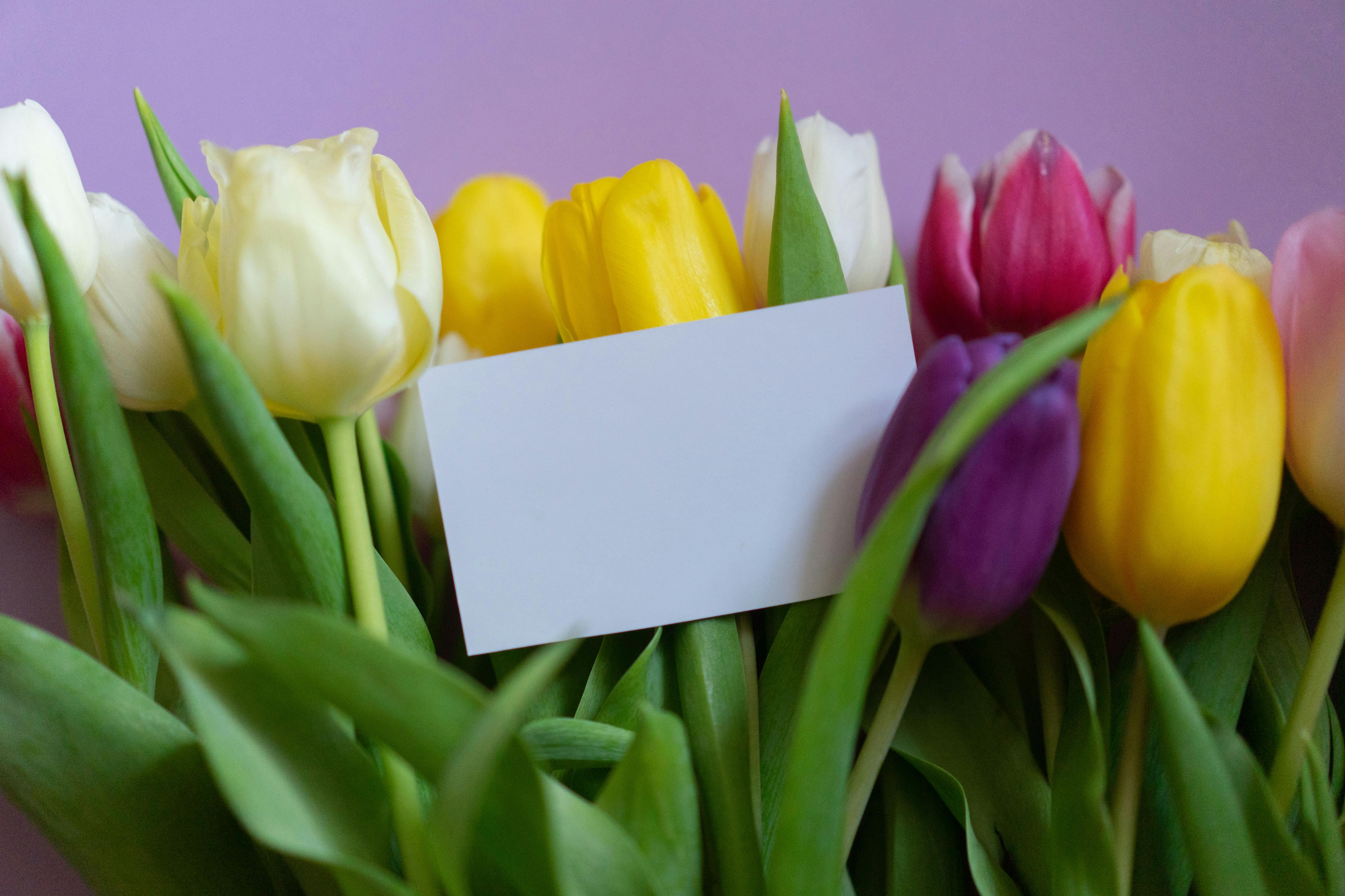 A card with flowers | Source: Pexels