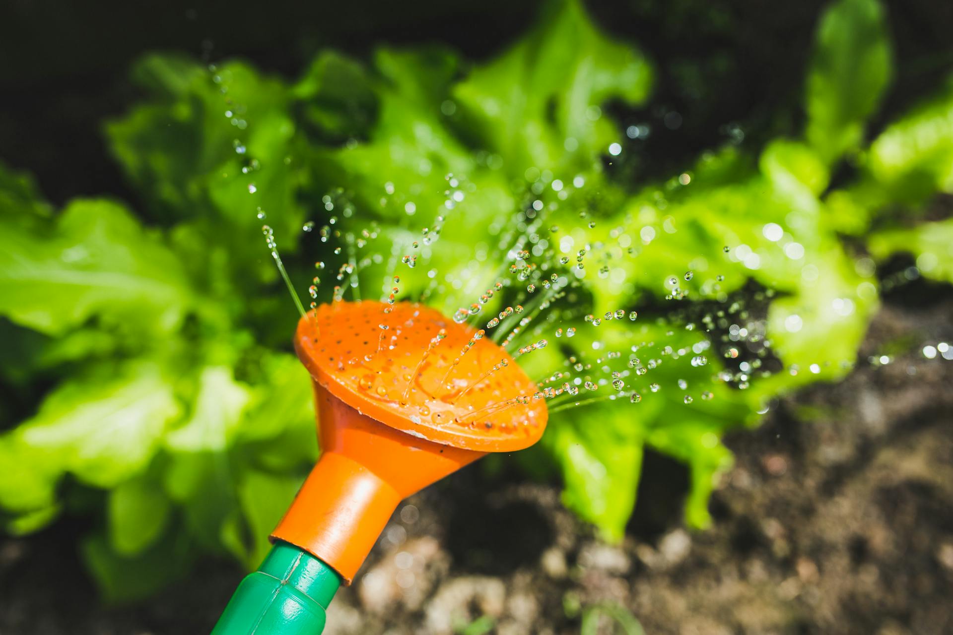 A watering can | Source: Pexels