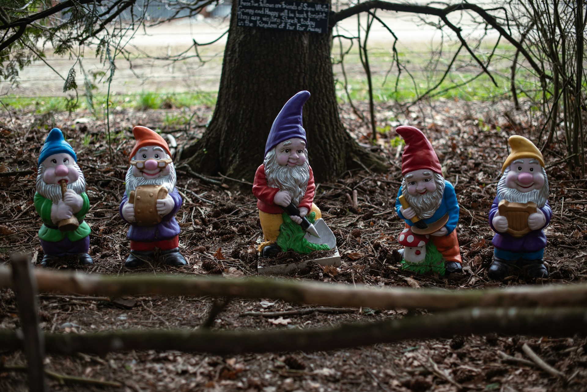 Garden gnomes under a tree | Source: Unsplash