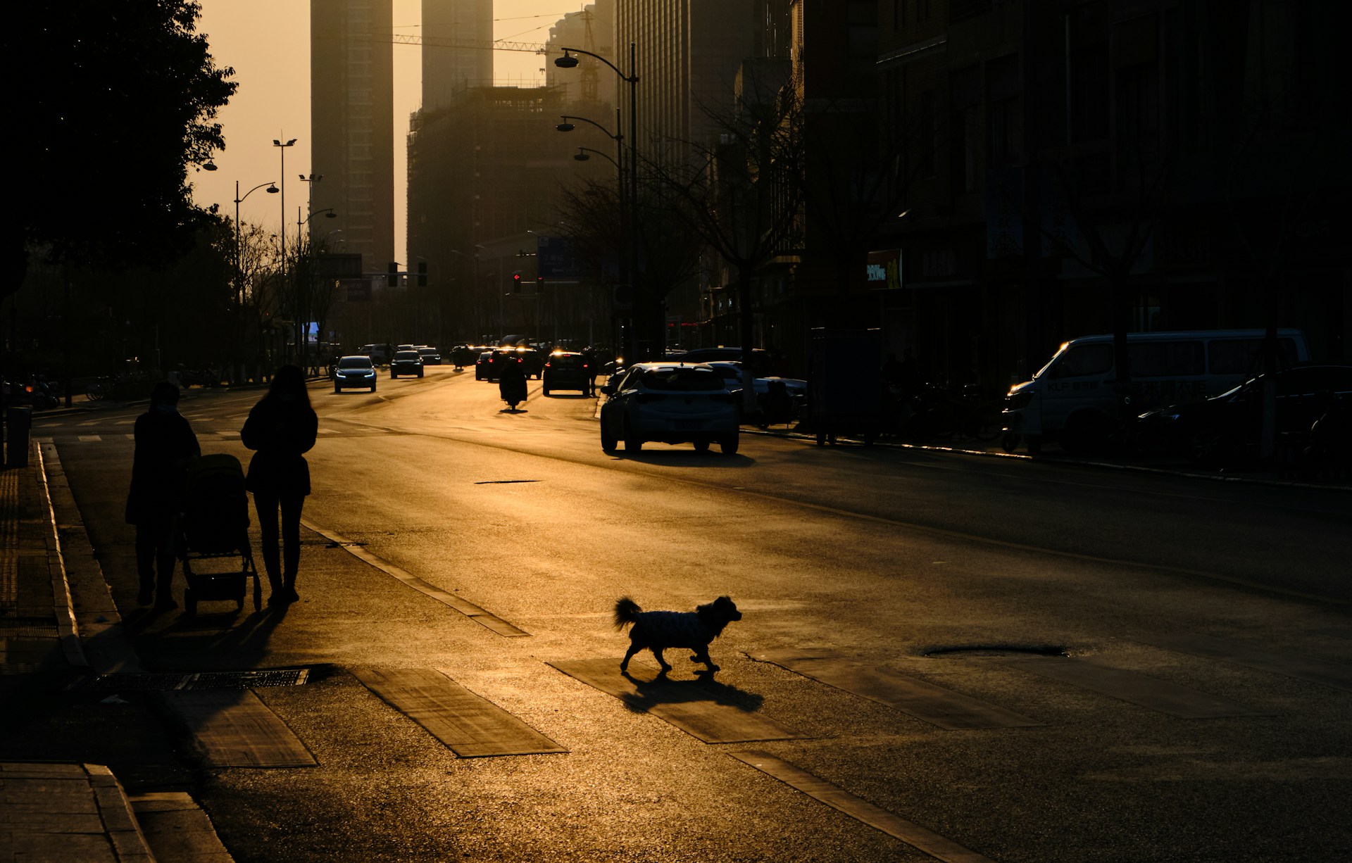 Silhouette of a dog running on the street | Source: Unsplash
