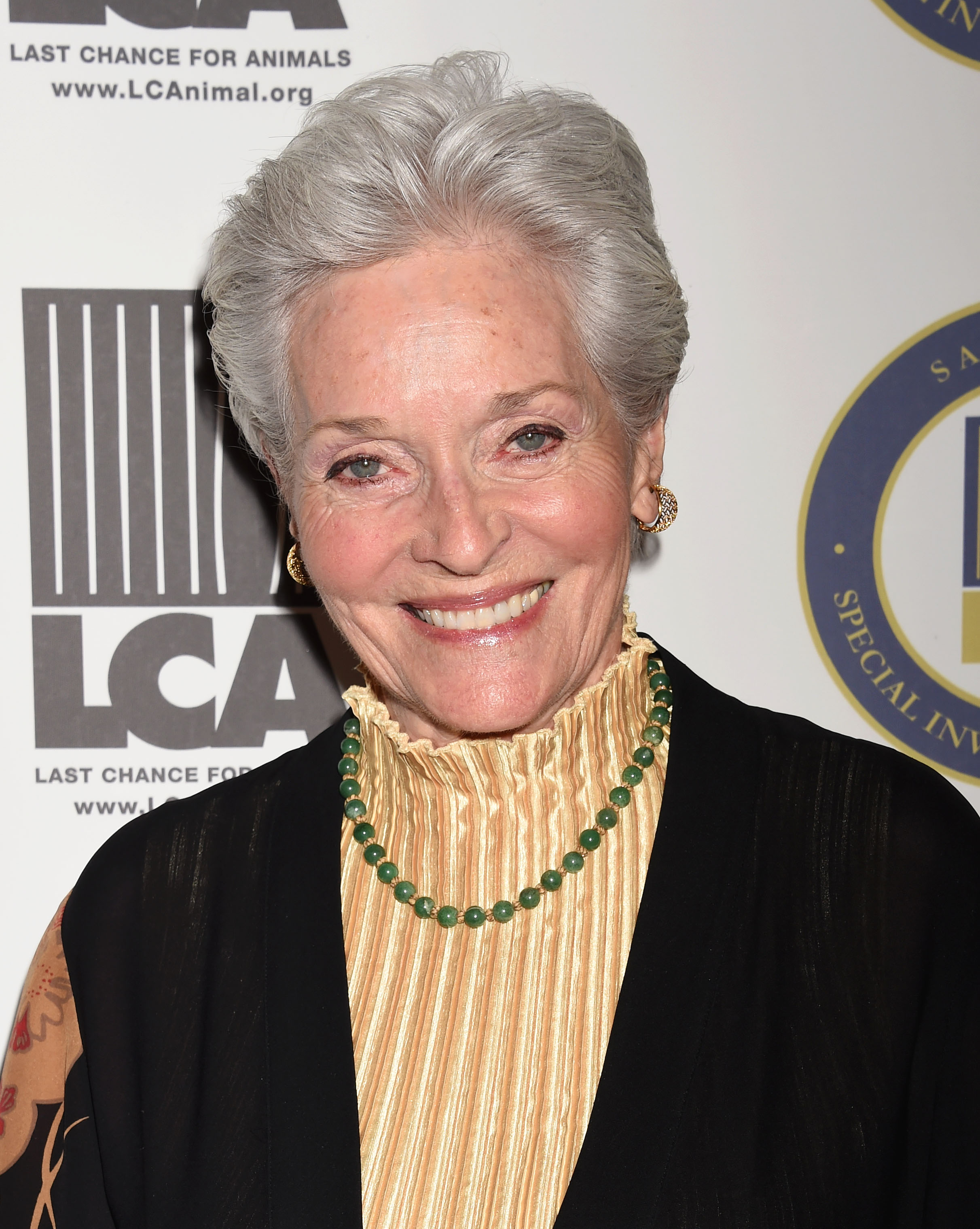 Lee Meriwether at the Last Chance for Animals Benefit Gala on October 24, 2015, in Beverly Hills, California. | Source: Getty Images