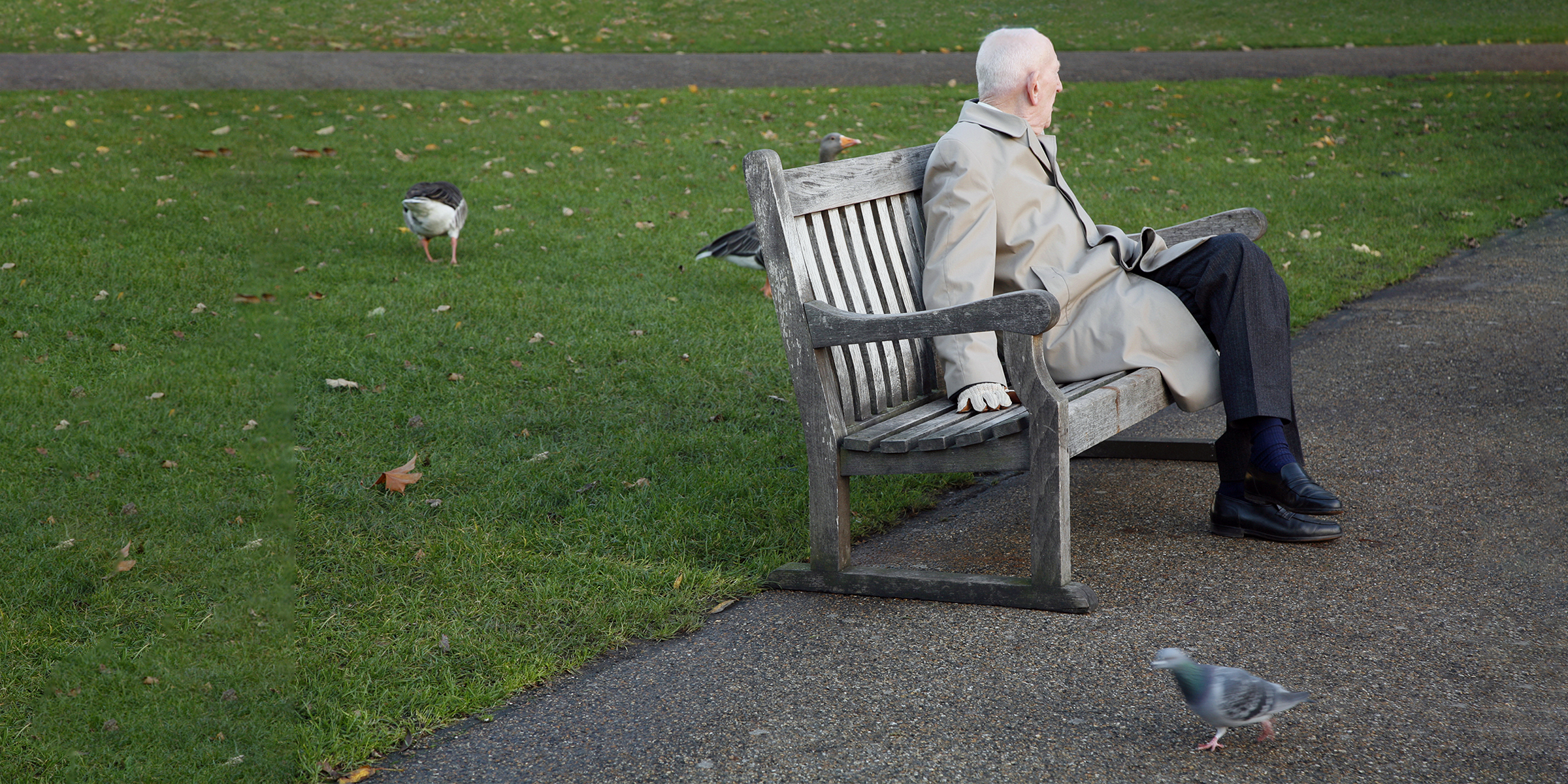 Old man sitting on the bench | Source: Shutterstock