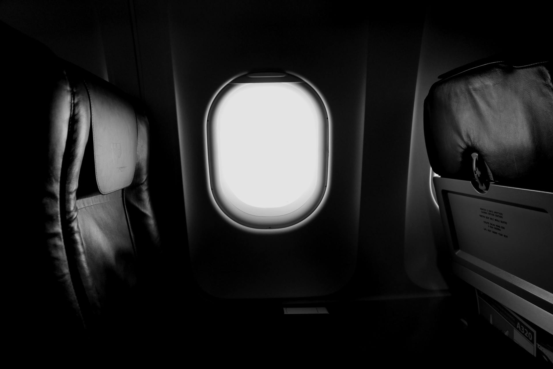 Airplane seats | Source: Pexels
