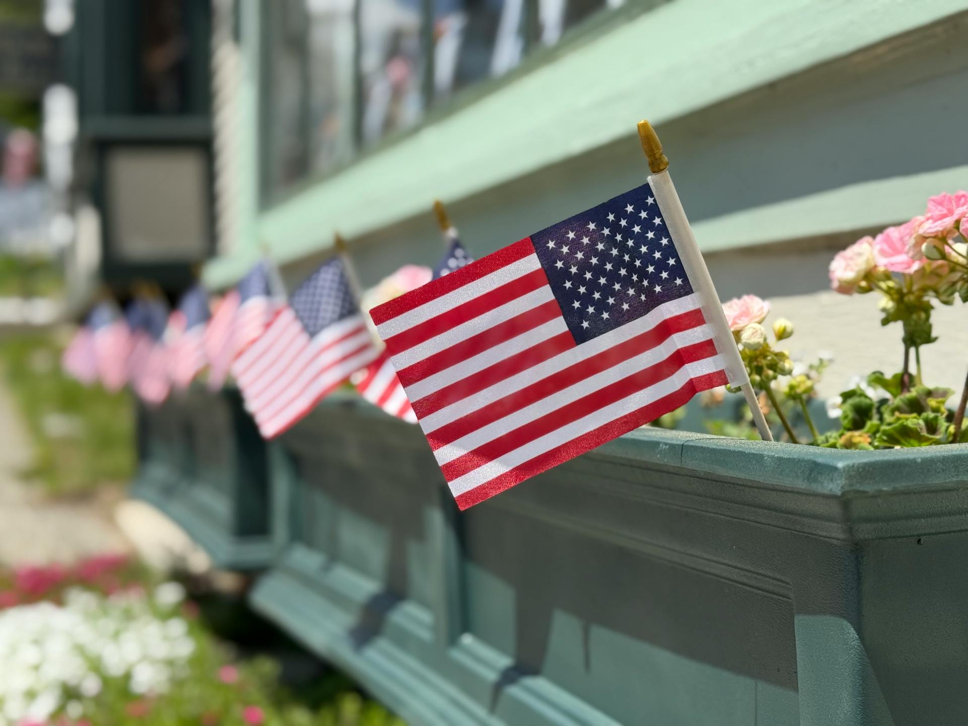A photo showing American flags placed inside flowerbeds | Source: Pexels