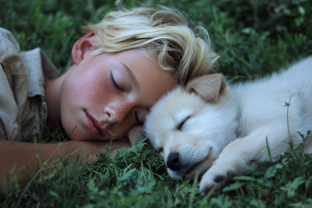 Młody chłopiec leżący obok szczeniaka na trawie | Źródło: Midjourney